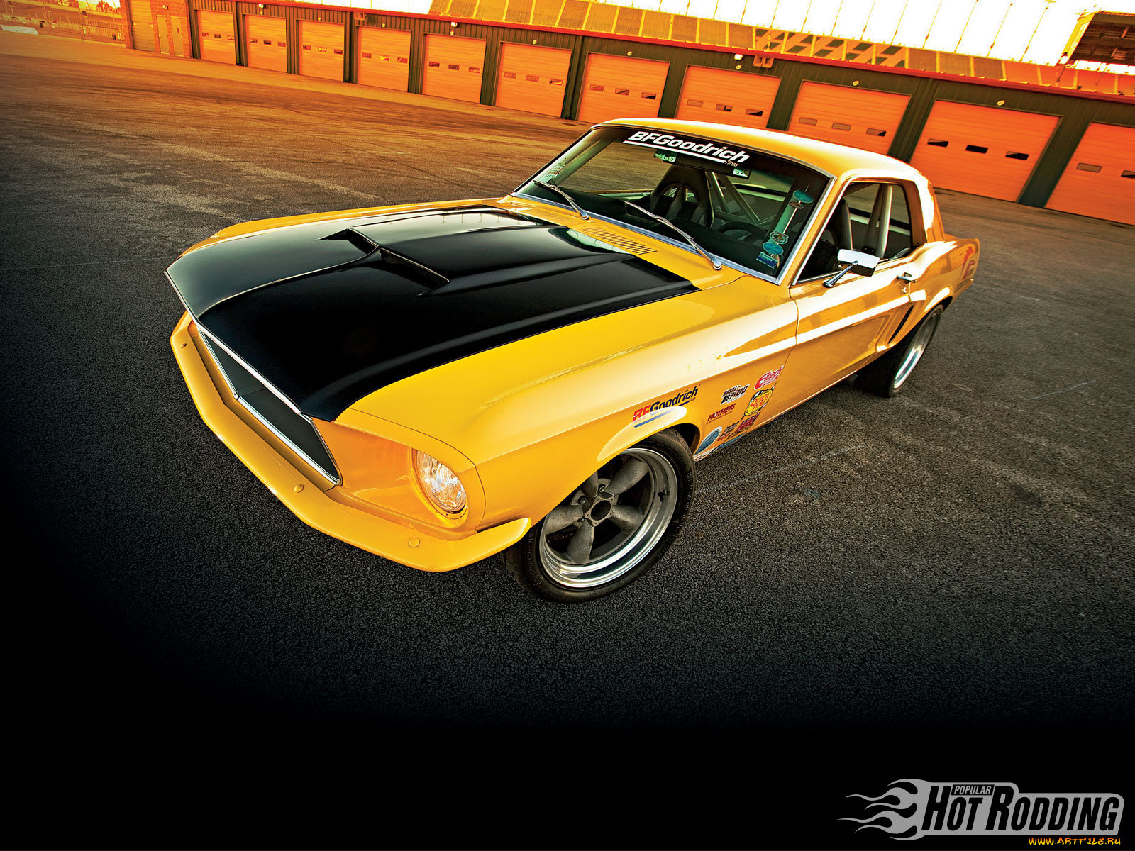 автомобили, mustang