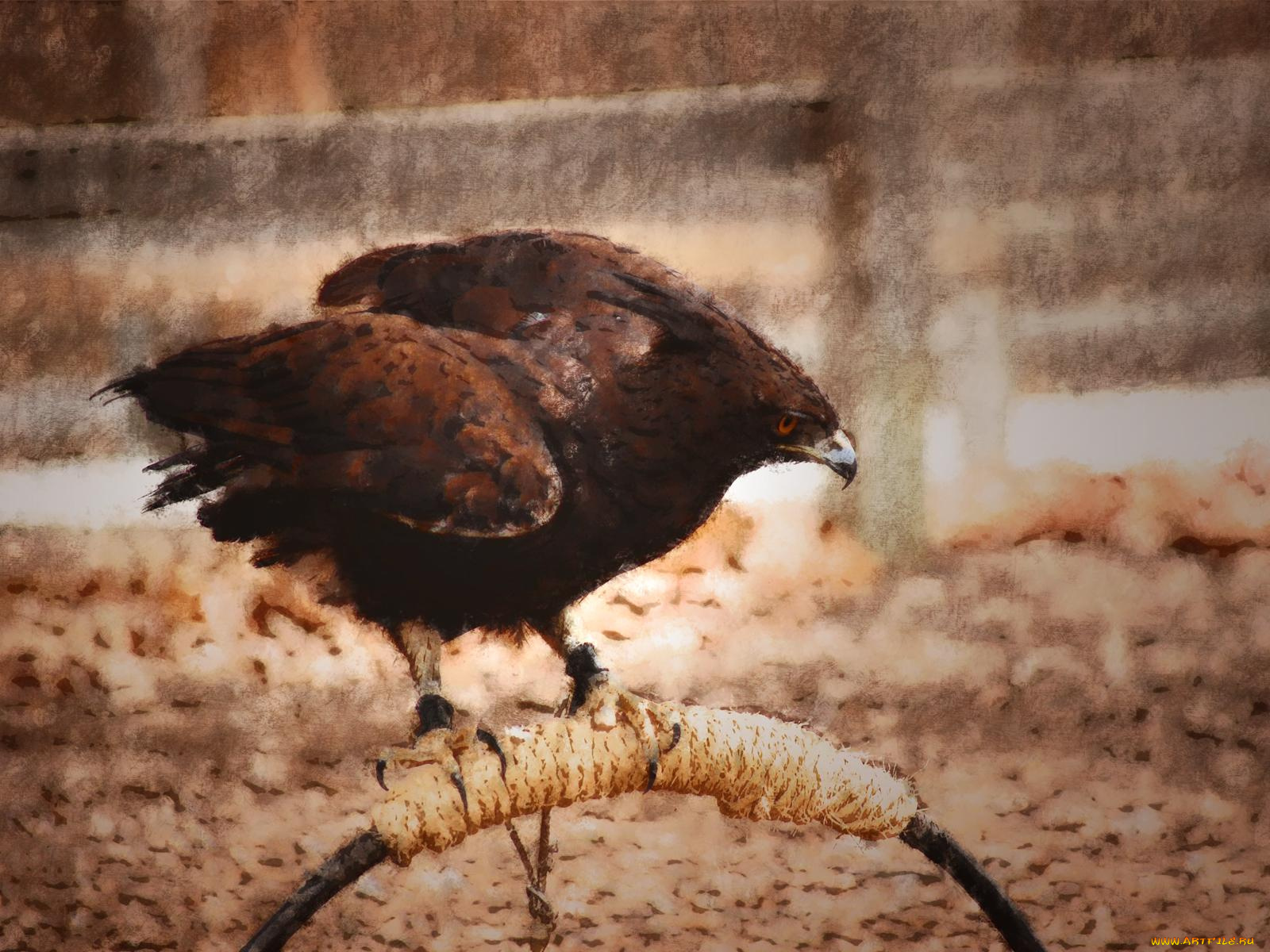 рисованные, животные