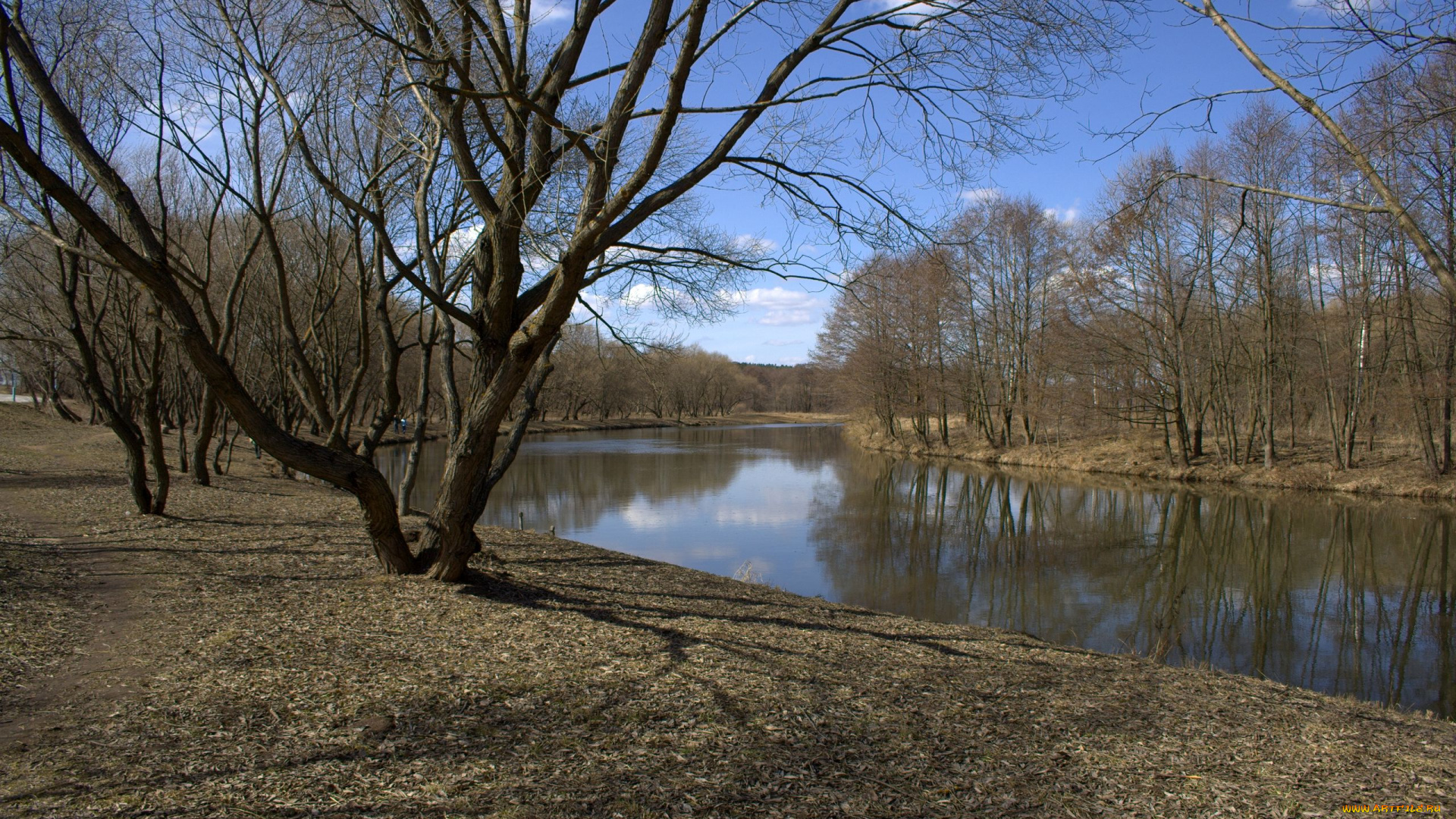 природа, реки, озера