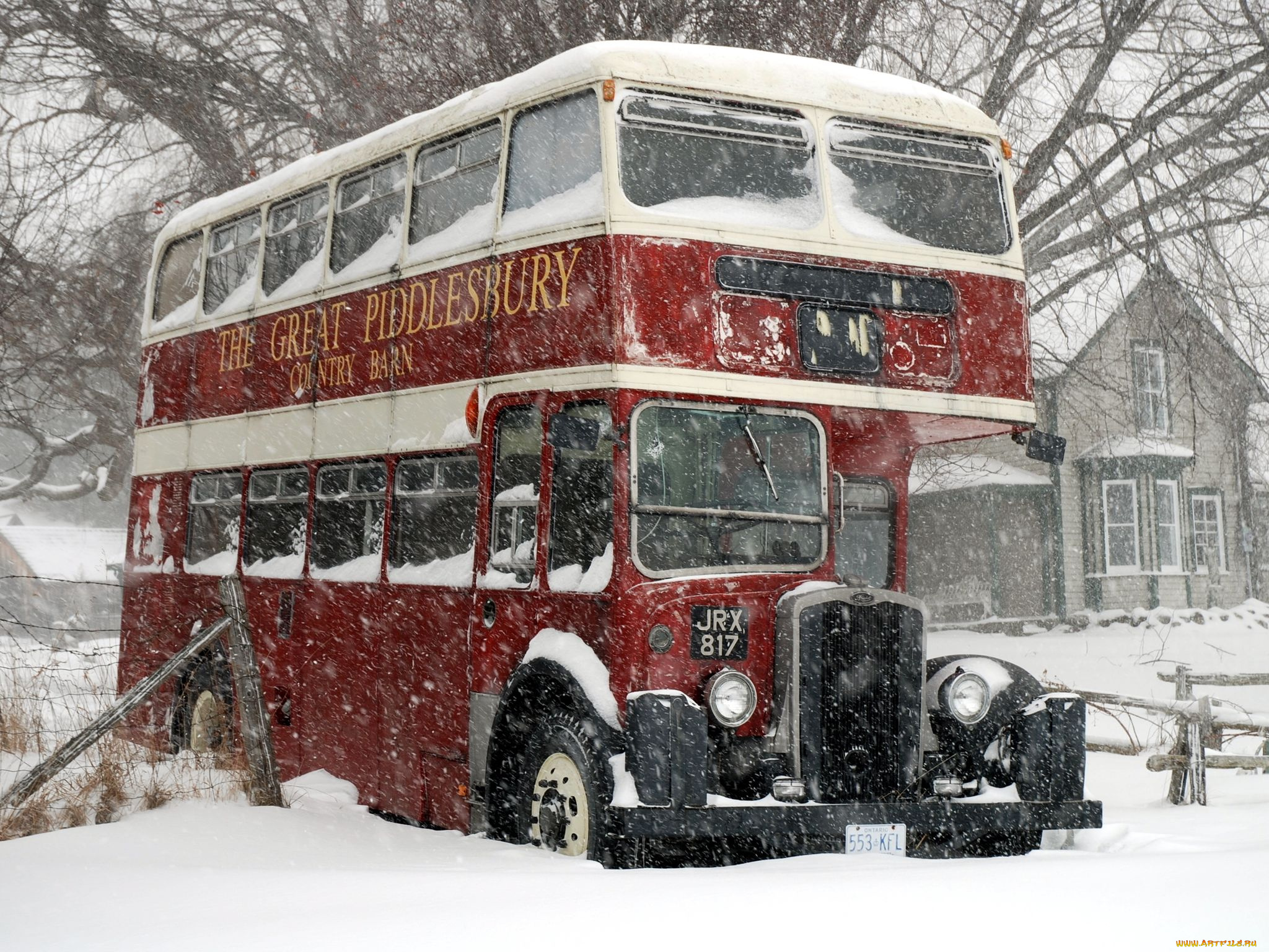 автомобили, автобусы