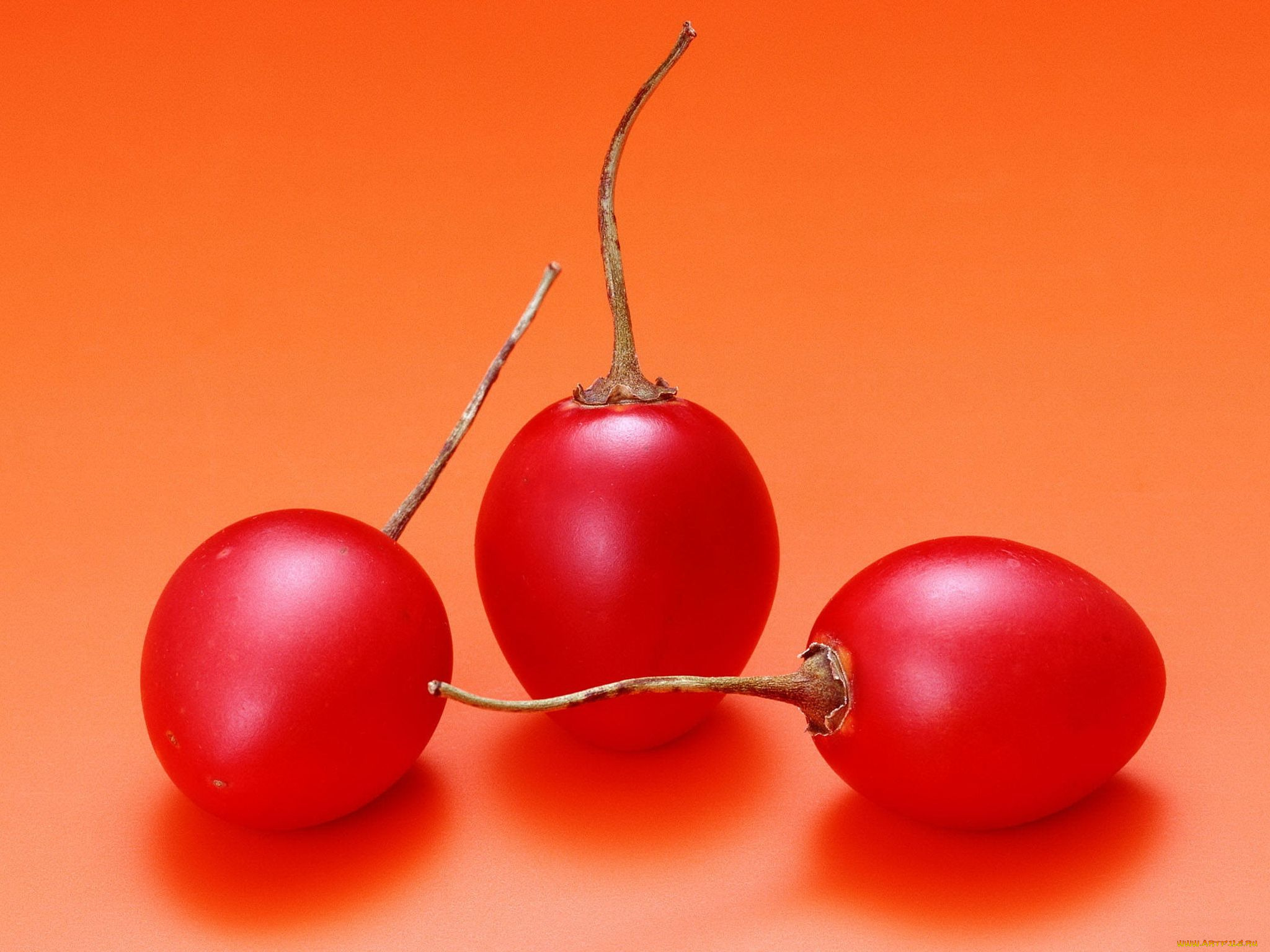 еда, тамарилло