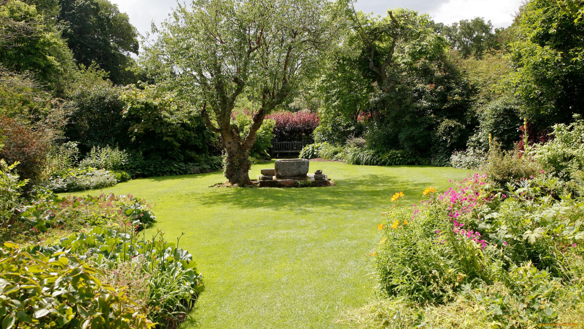 природа, парк, лужайка, деревья, кусты, скамейка, цветы