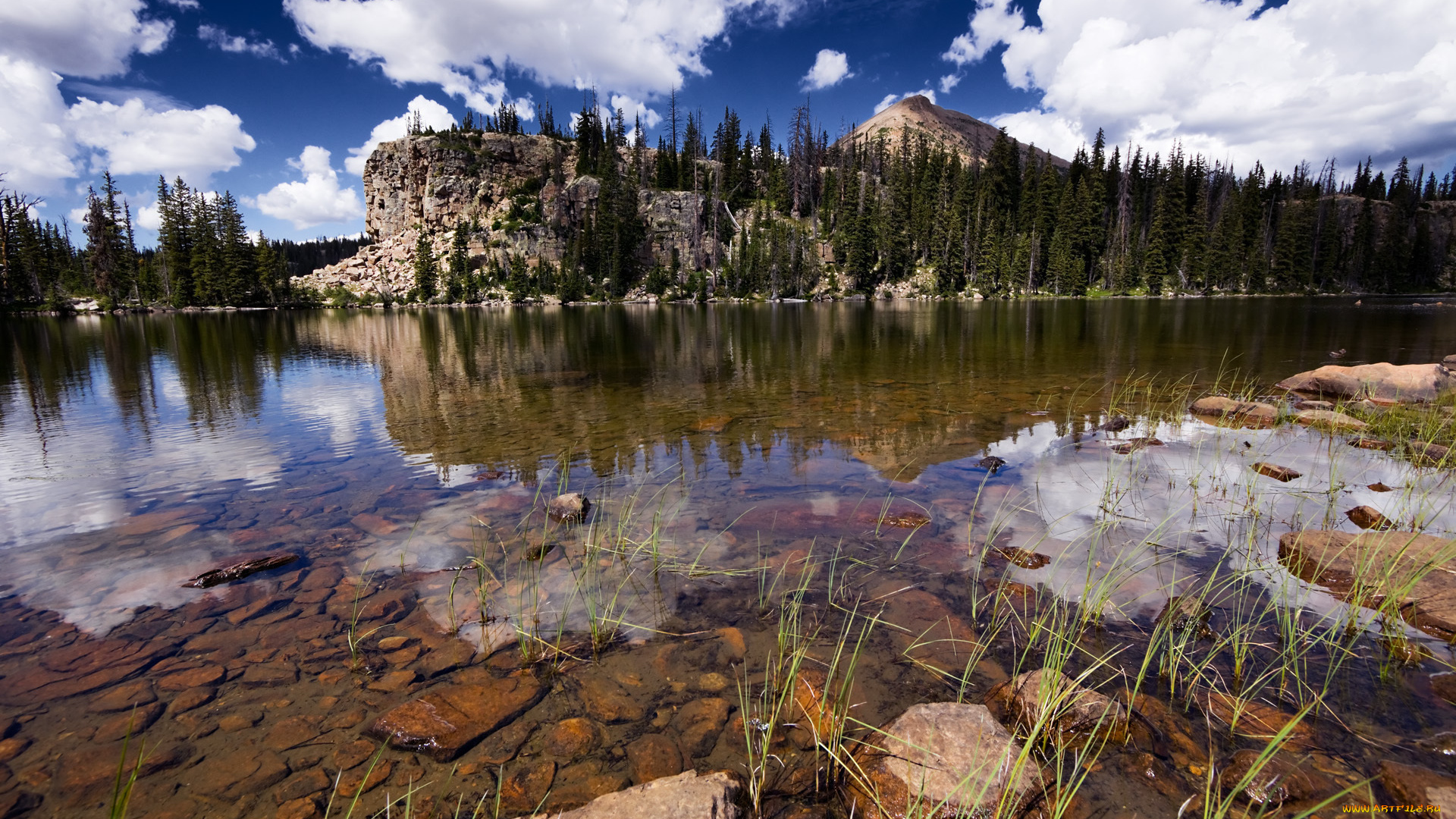 природа, реки, озера, лес, небо, облака, река, камни