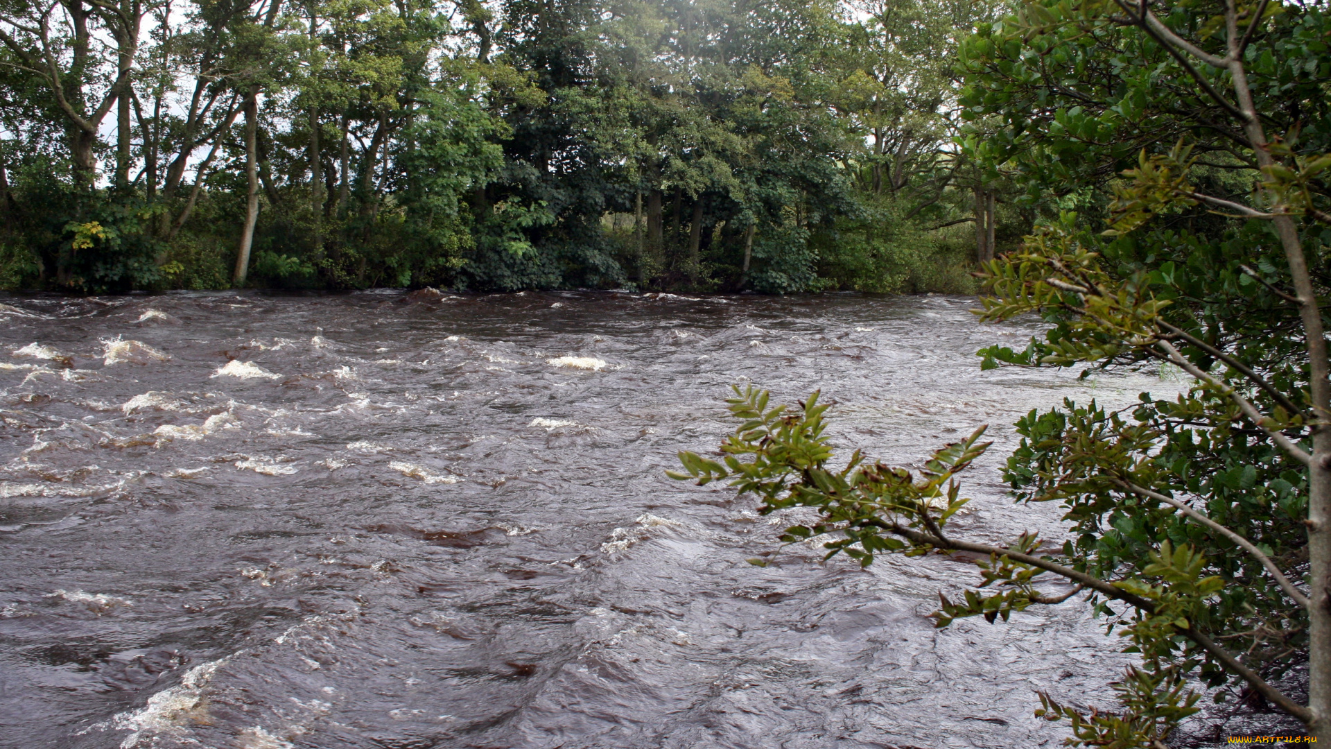 природа, реки, озера, река