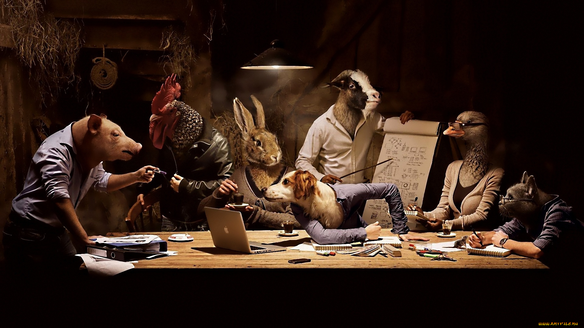 юмор, приколы, совет