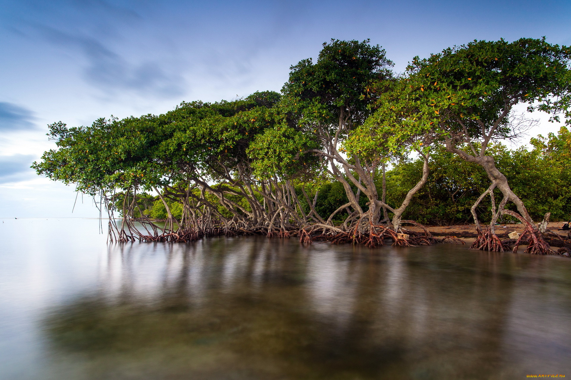 природа, реки, озера, озеро, деревья