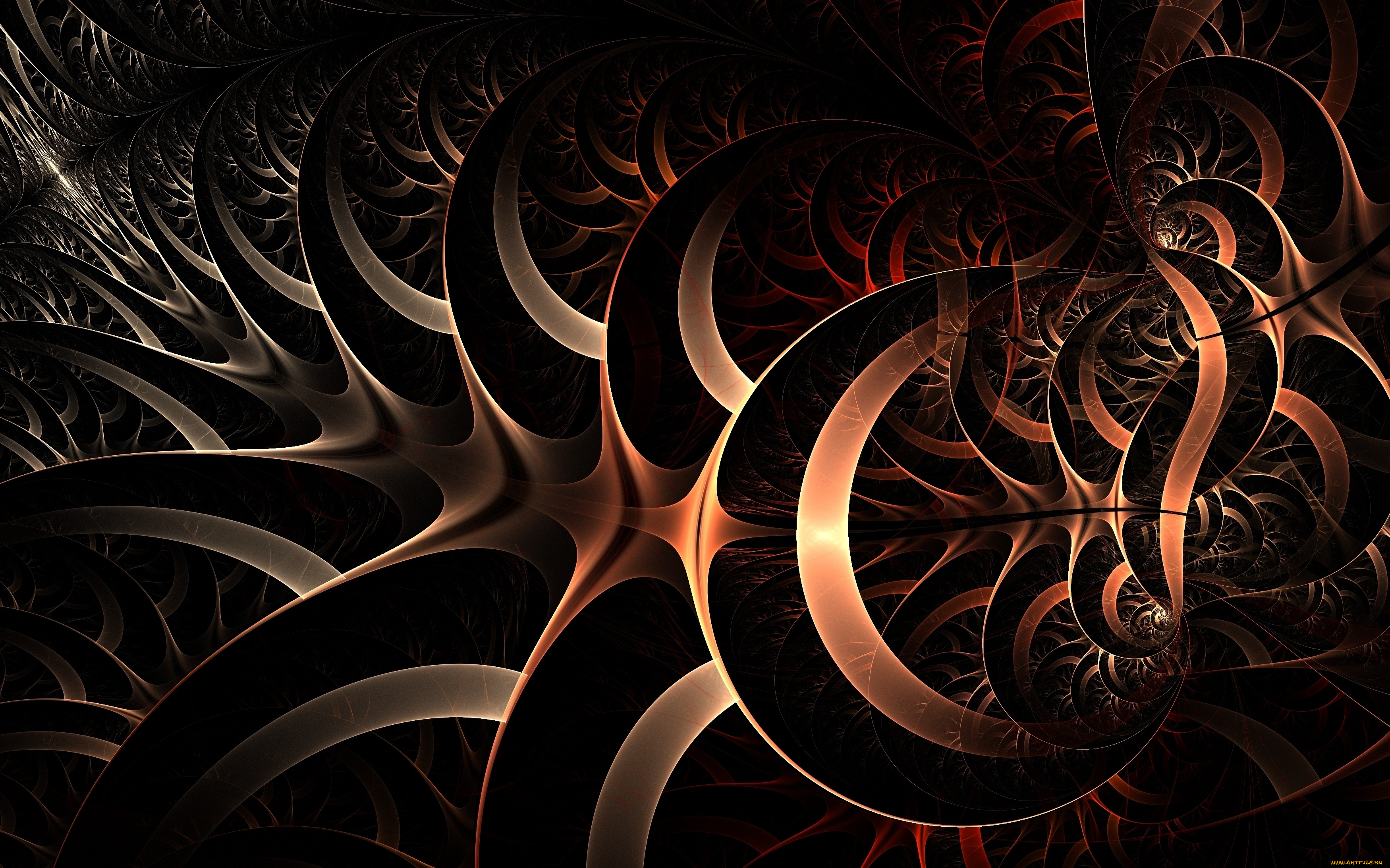 3д, графика, fractal, фракталы, изгибы, круги, объем