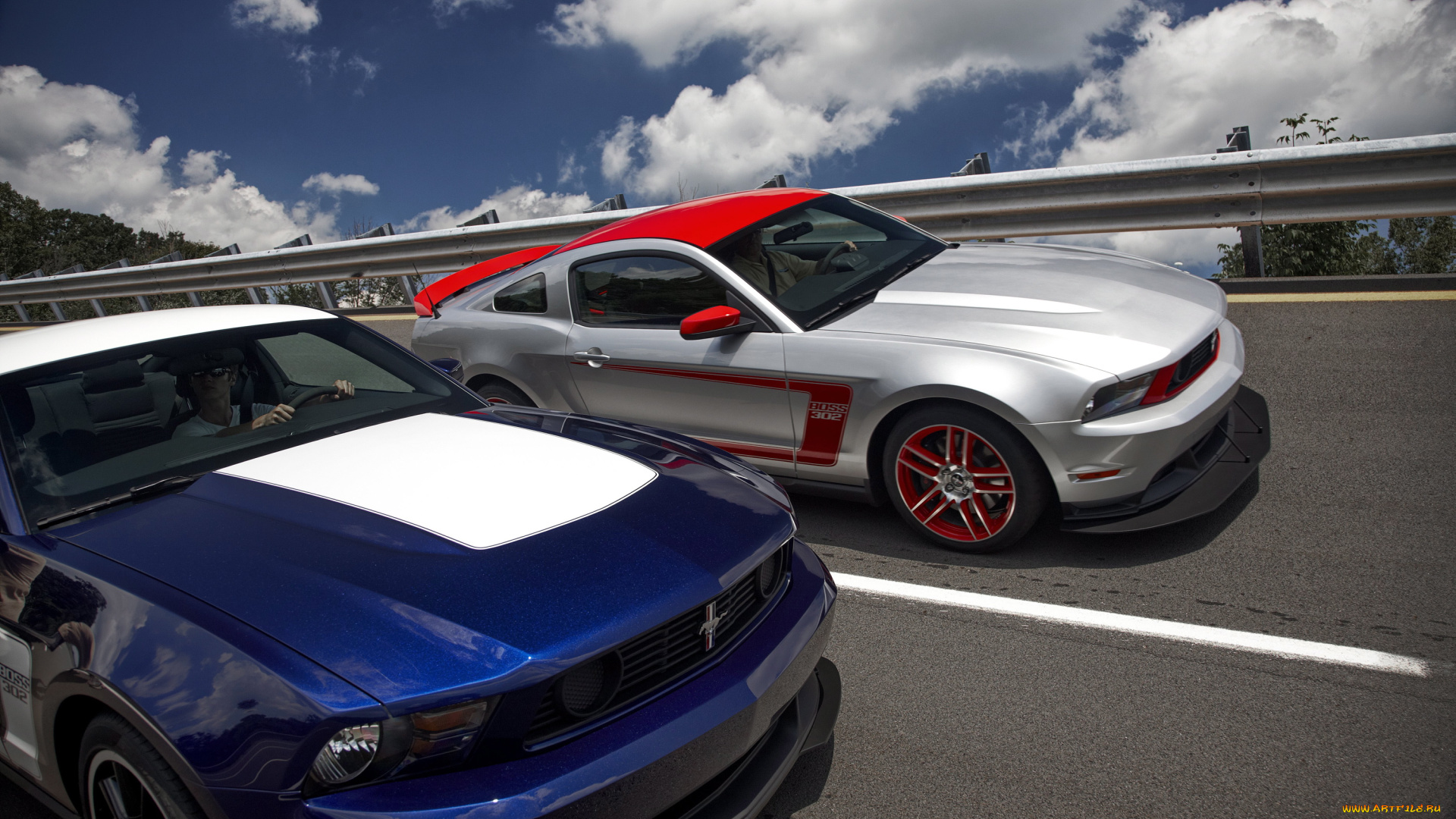 автомобили, mustang