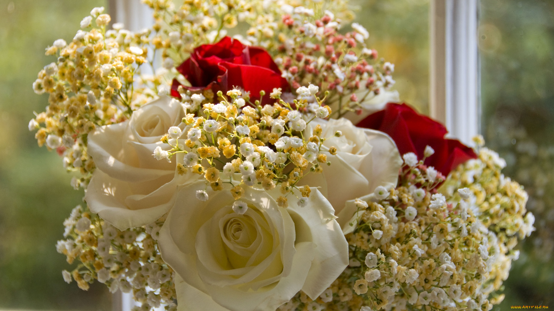 цветы, букеты, композиции, гипсофила, розы