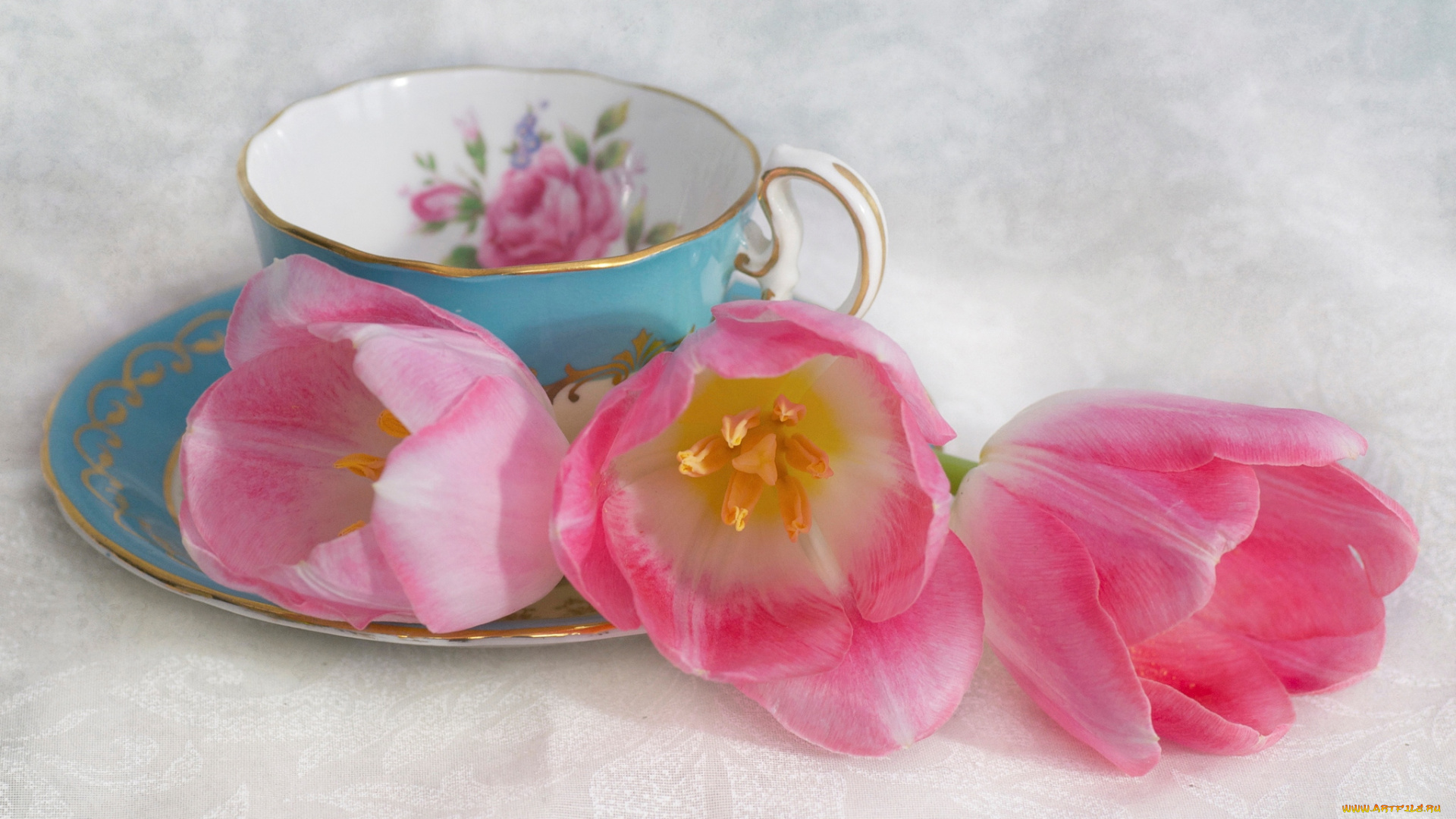 цветы, тюльпаны, бутоны, чашка