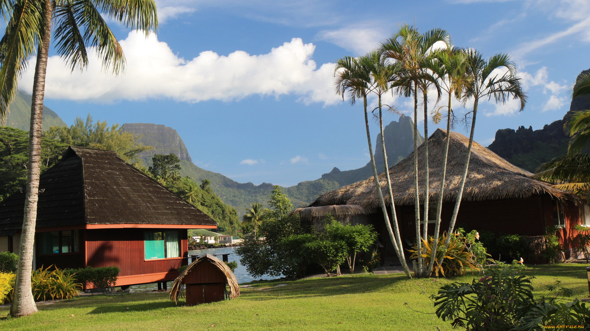 французская, полинезия, природа, тропики