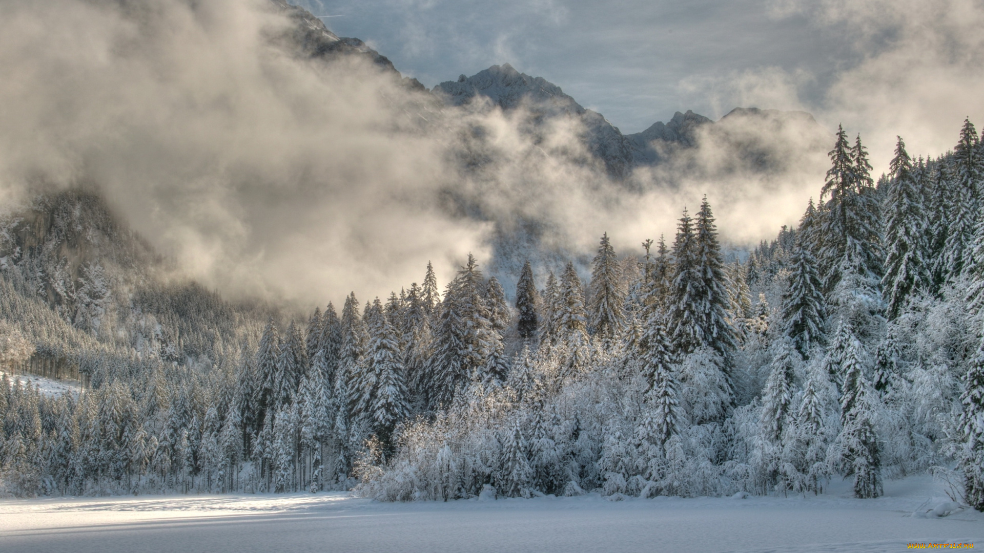 природа, зима, лес, снег