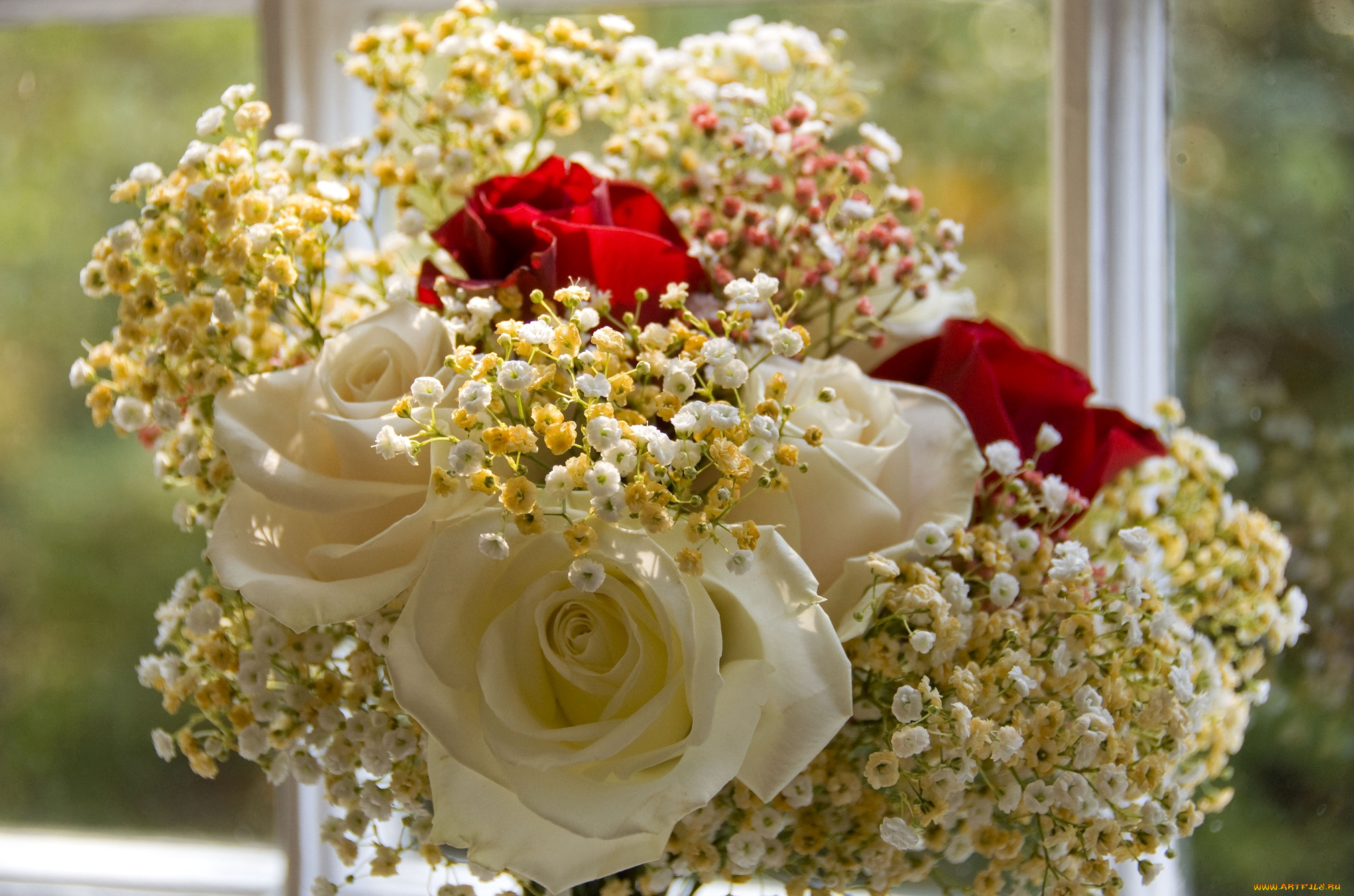 цветы, букеты, композиции, гипсофила, розы