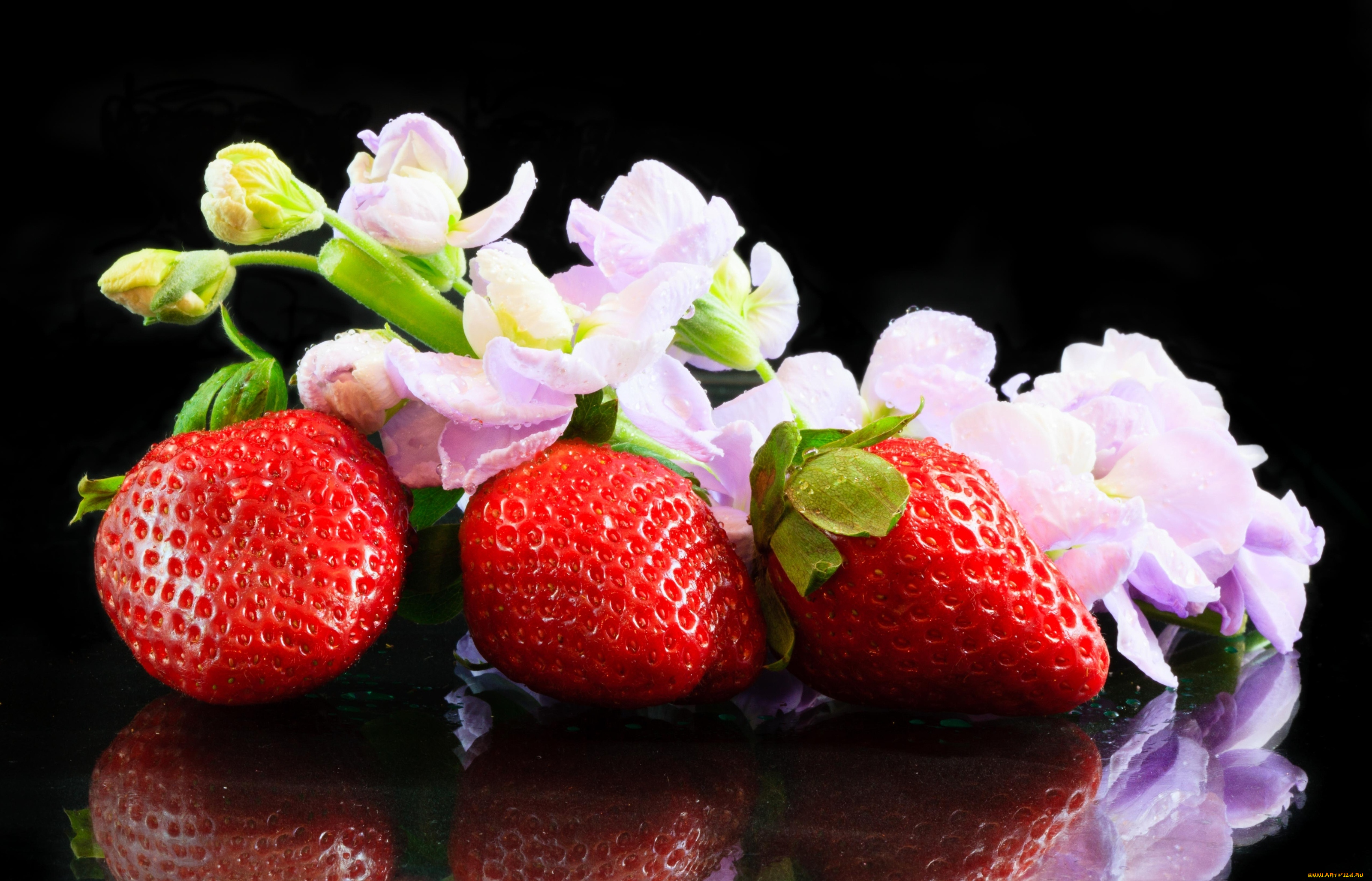 еда, клубника, земляника, левкой, ягоды