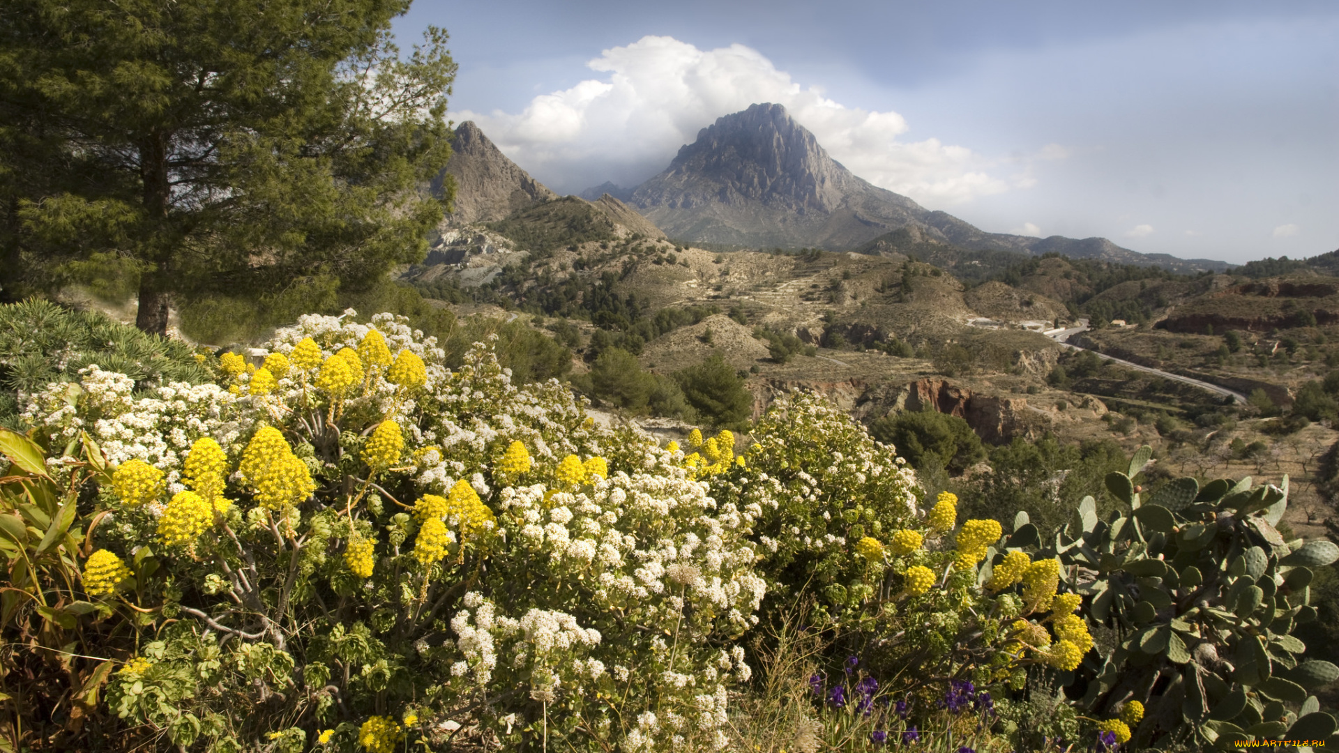 природа, горы, цветы, луг, деревья