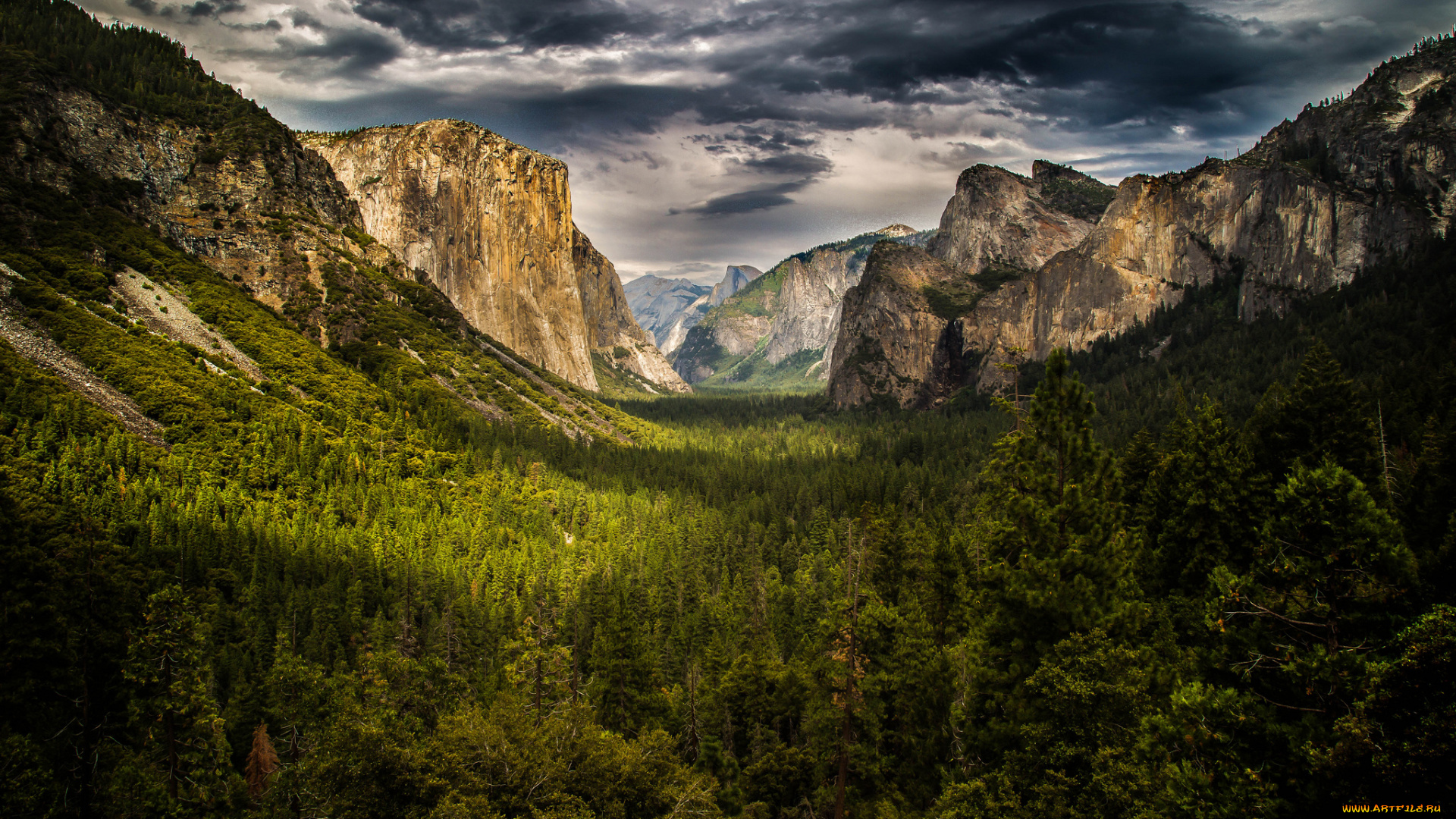 природа, горы, лес, скалы, распадок