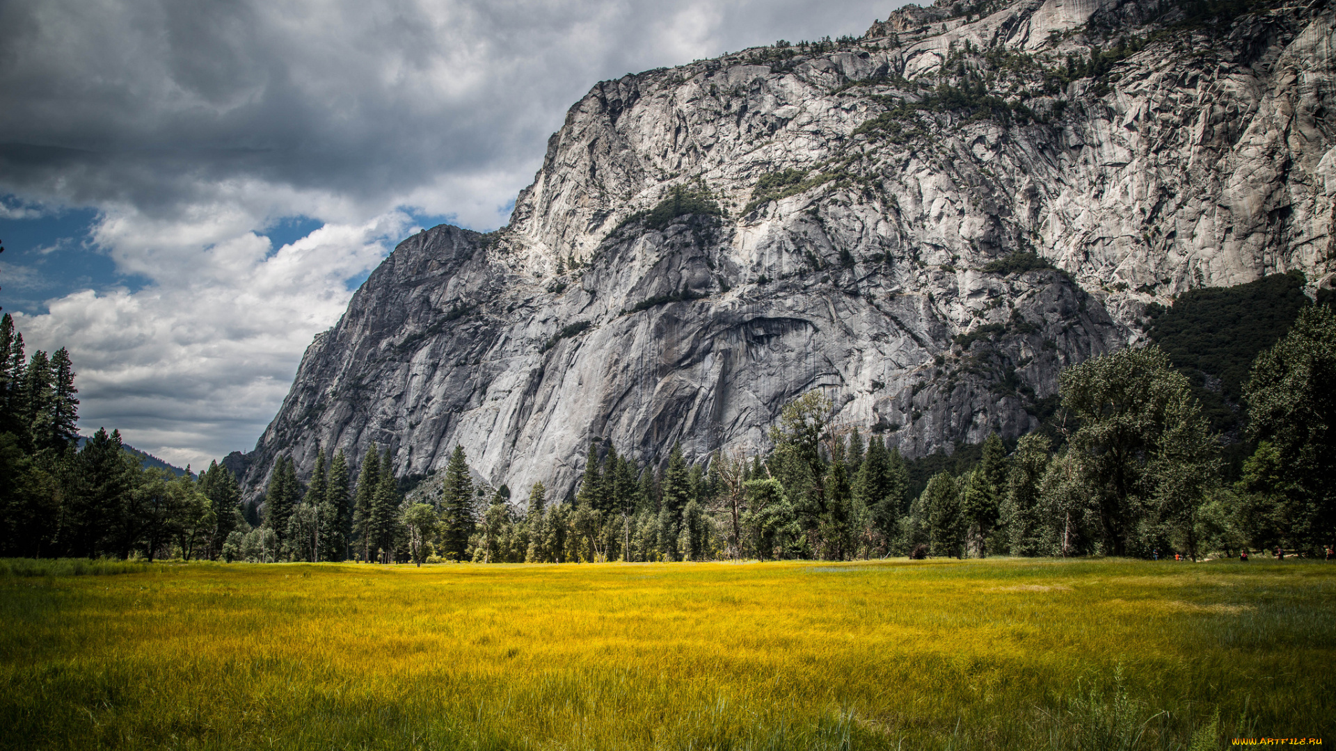 природа, горы, скалы, поле, цветы