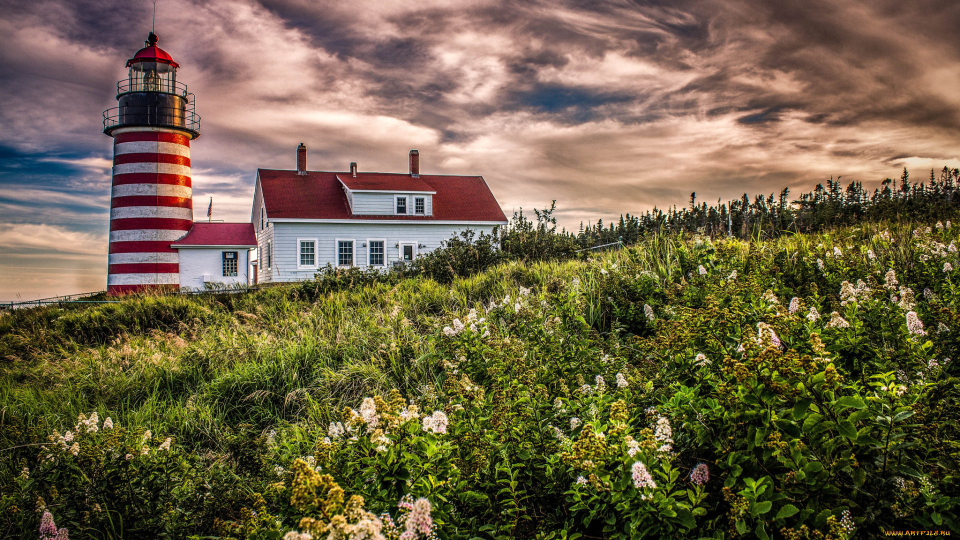 природа, маяки, маяк, океан