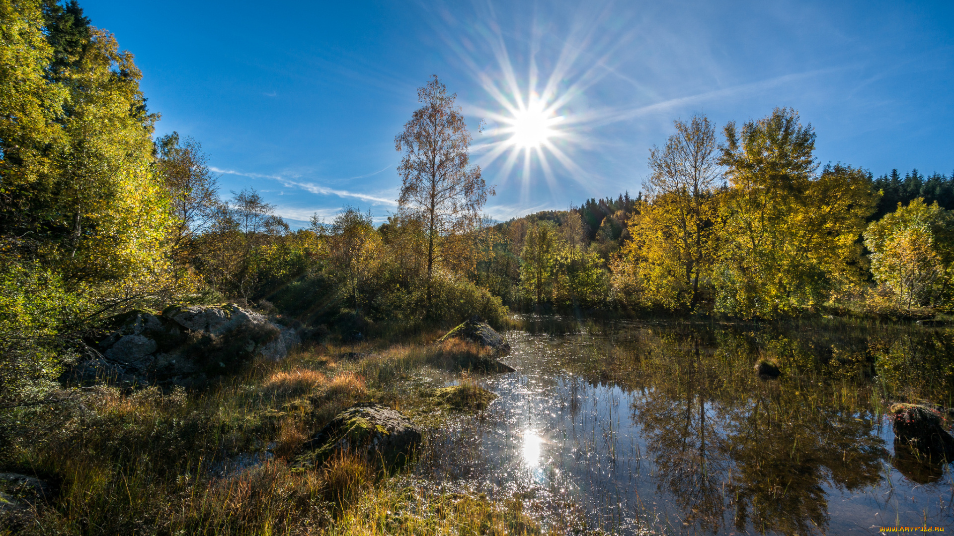 природа, реки, озера, лес, лучи, река, облака, солнце
