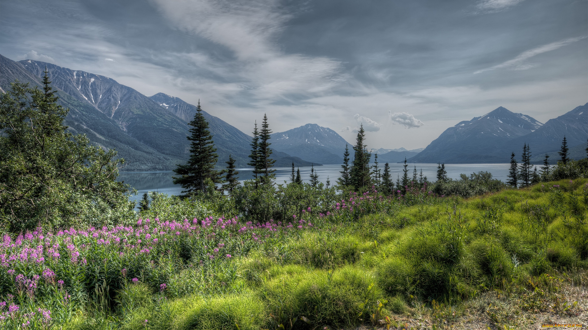 природа, реки, озера, река, горы, простор, цветы