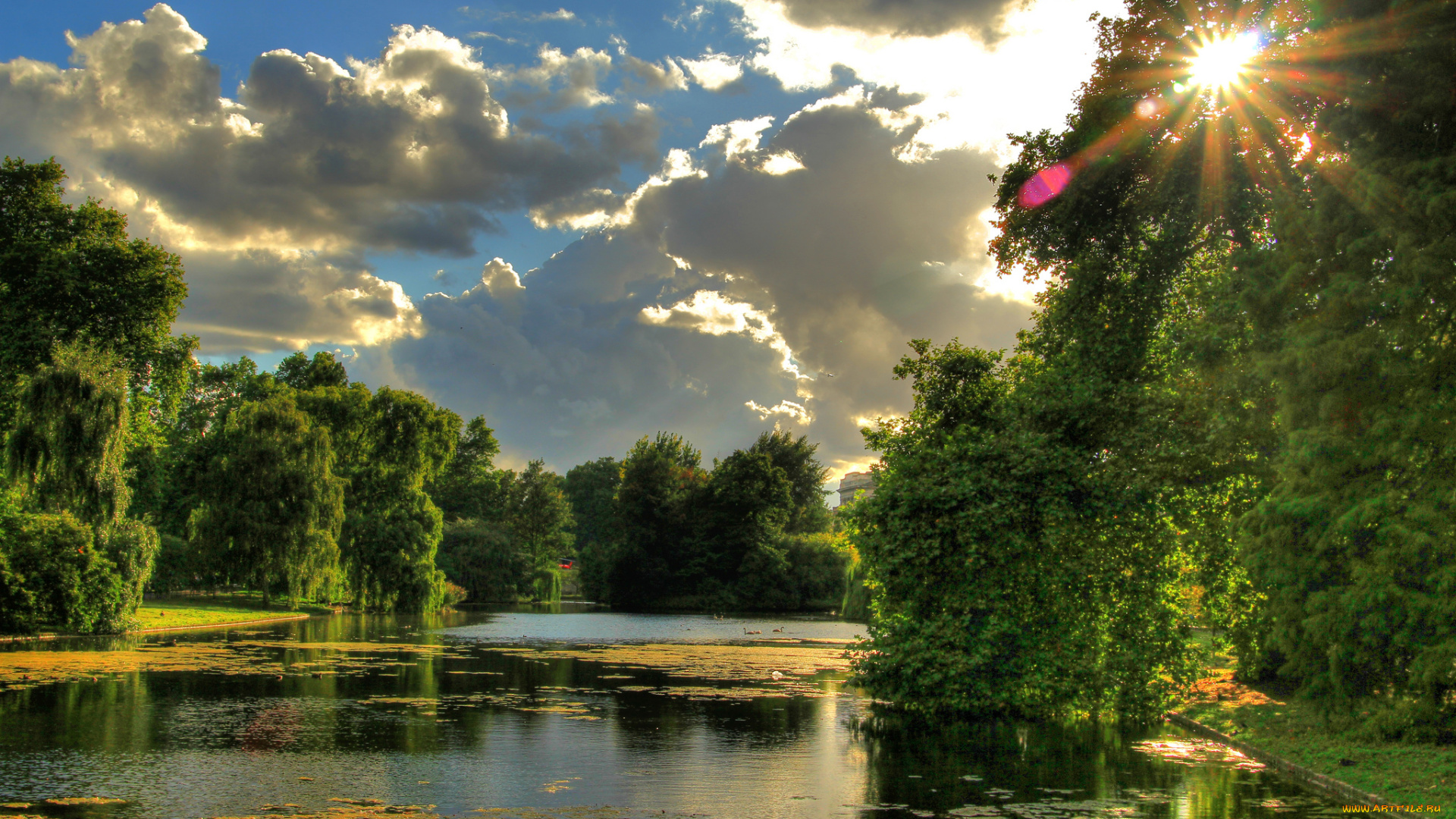 природа, реки, озера, река, лес, лучи, солнце, облака