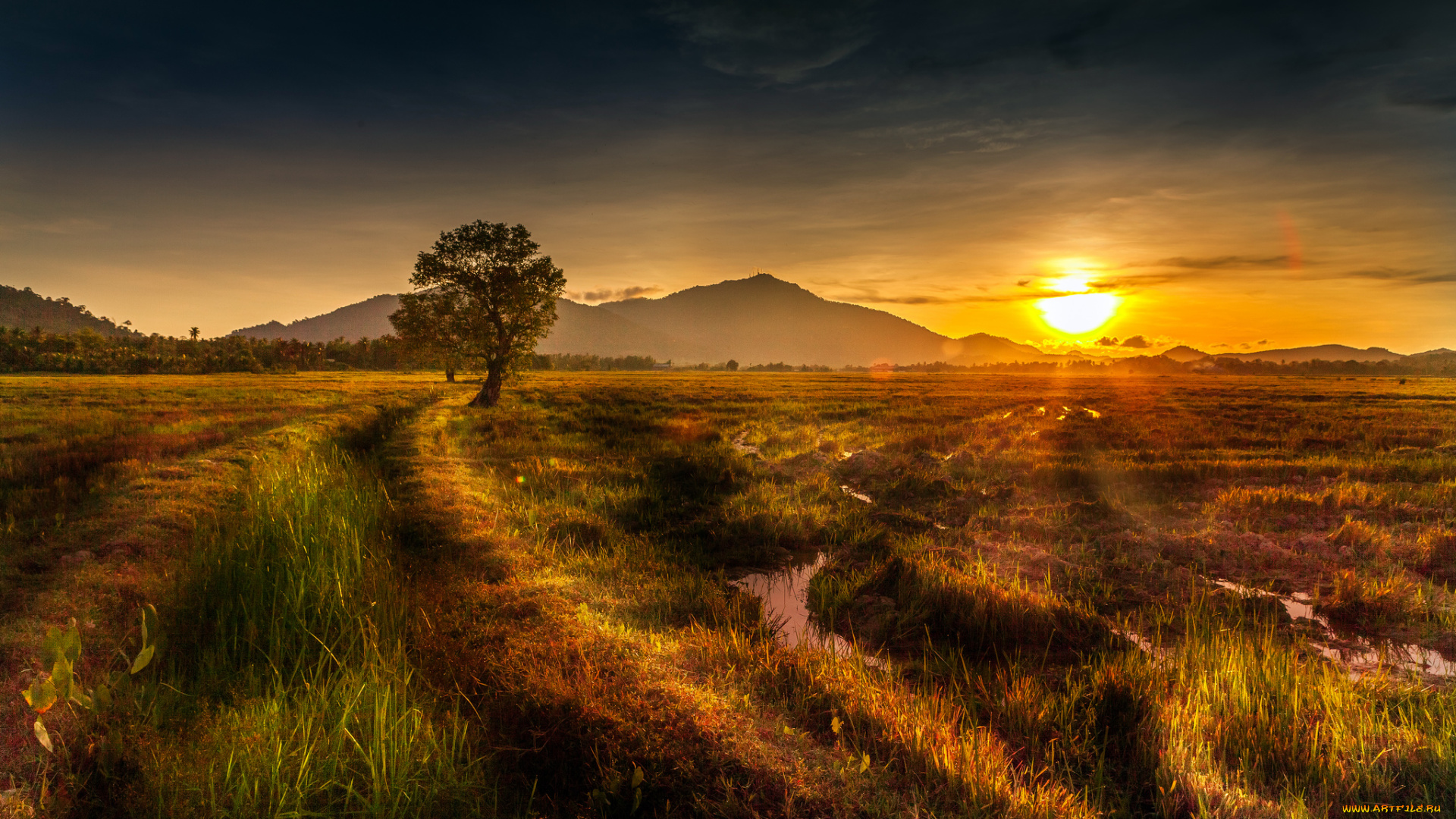 природа, восходы, закаты, солнце, горы, дерево, трава, поле