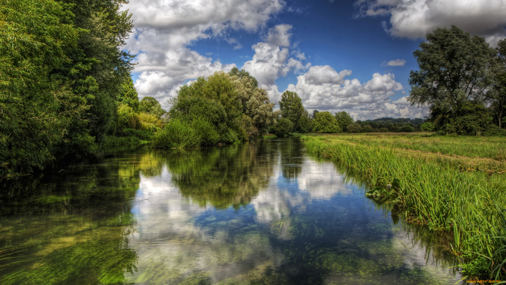 река, itchen, англия, природа, реки, озера, трава, кусты, англия, река, itchen