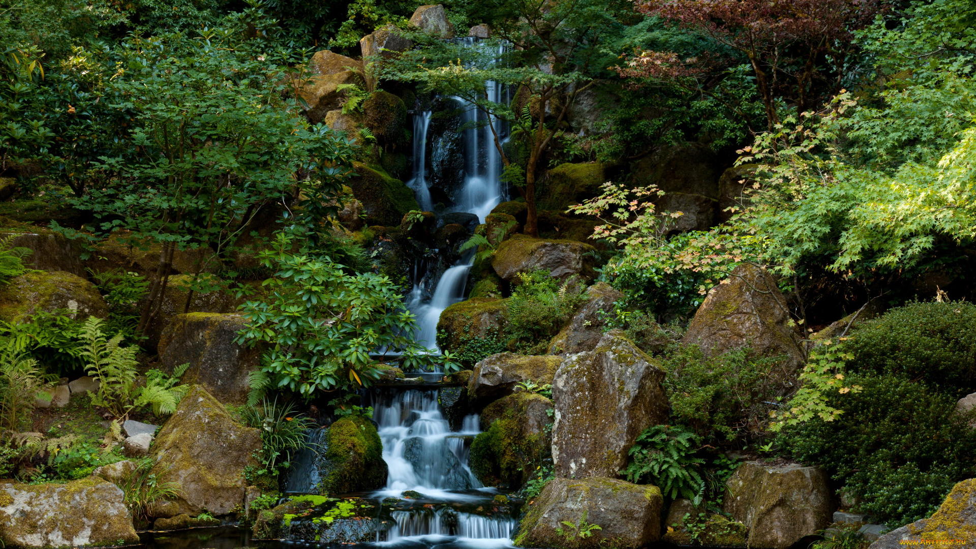 Японский, сад, природа, водопады, водопад, сад, Японский, орегон, portland