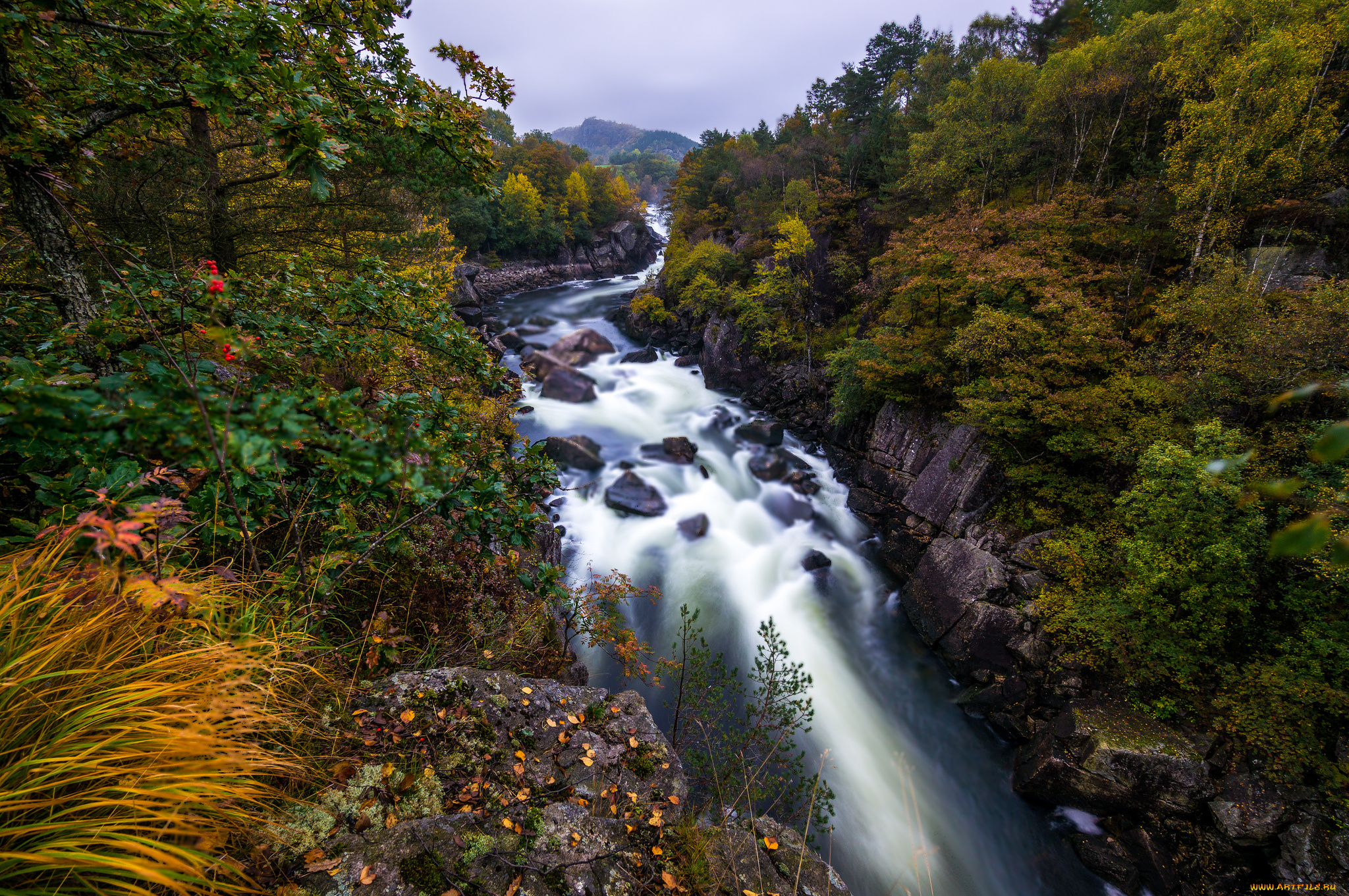 природа, реки, озера, горы, стремнина, река, лес, скалы