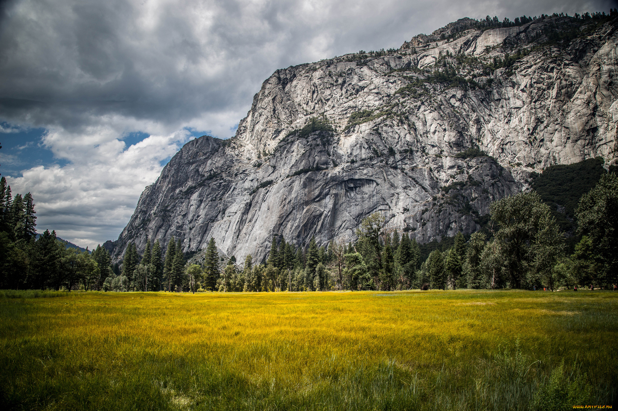 природа, горы, скалы, поле, цветы