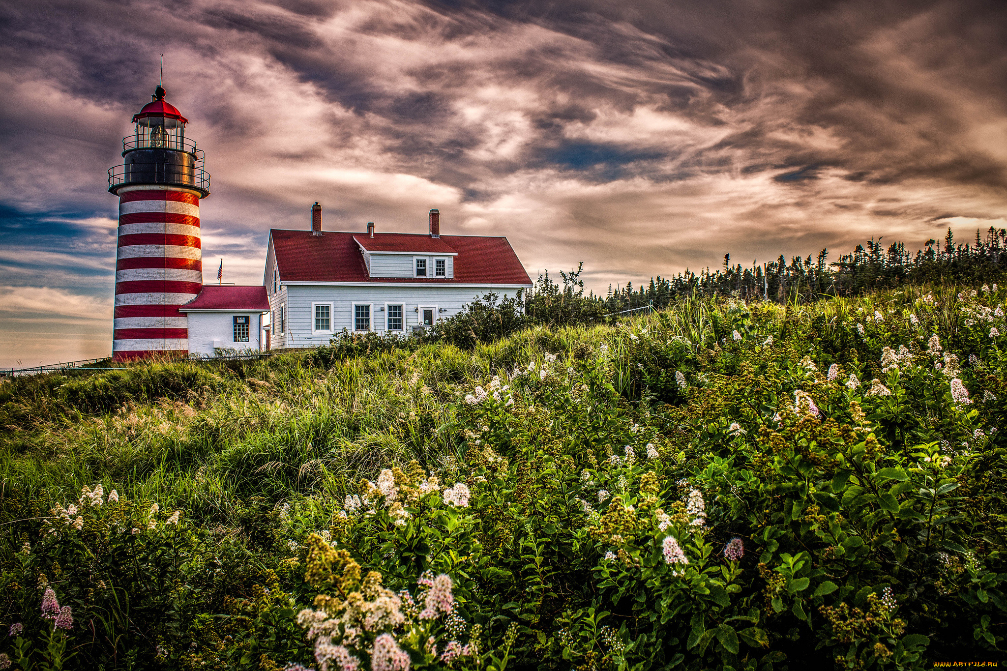 природа, маяки, маяк, океан