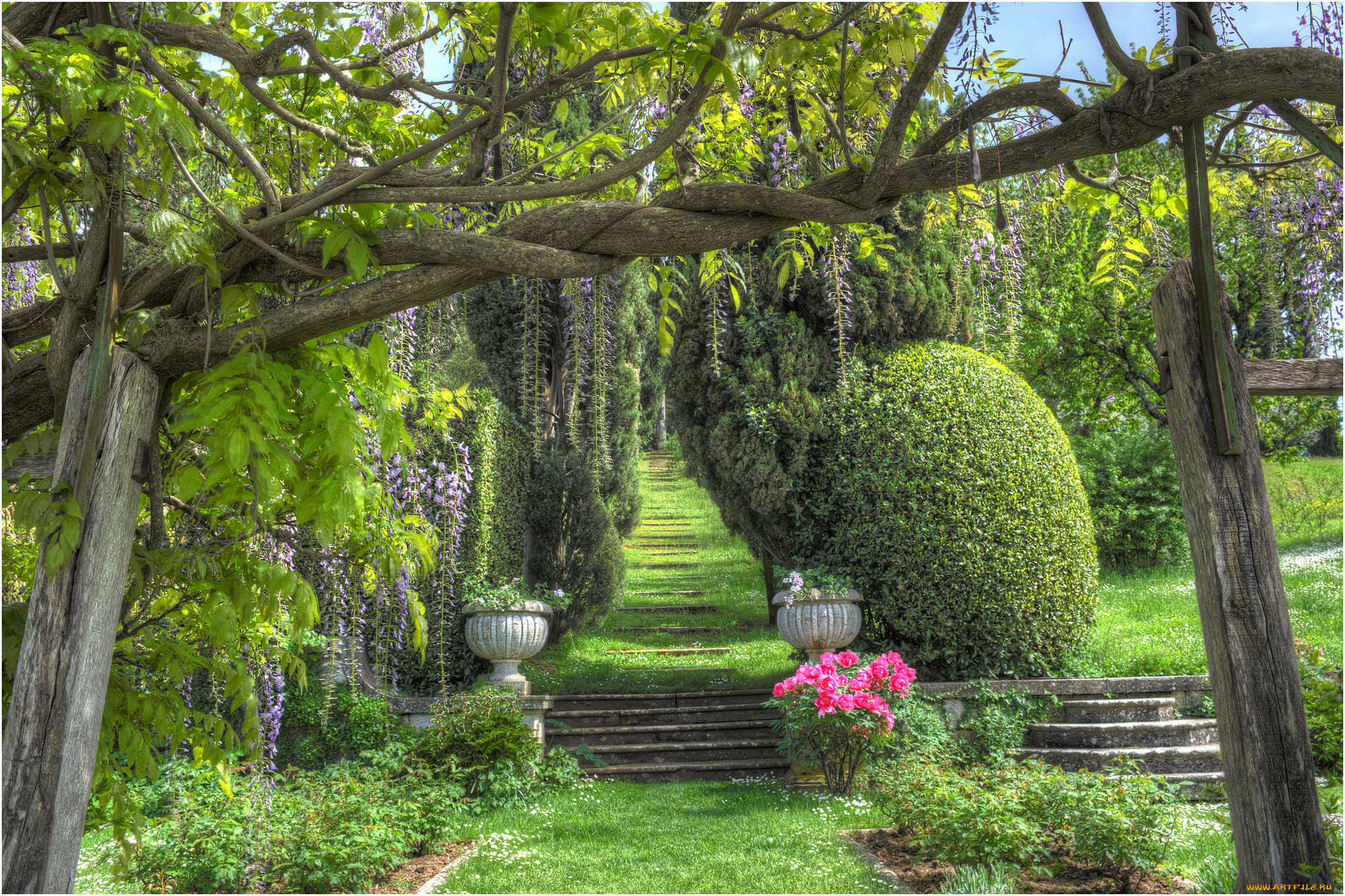 природа, парк, деревья, цветы, кусты, аллея