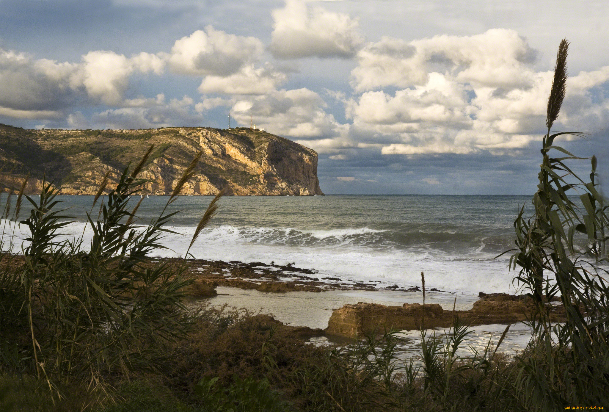 природа, побережье, растительность, скалы, пляж, океан