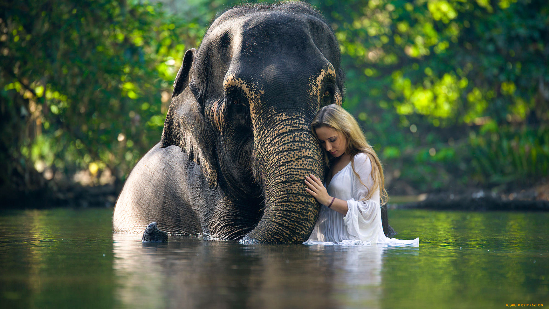 девушки, -unsort, , блондинки, вода, слон, девушка