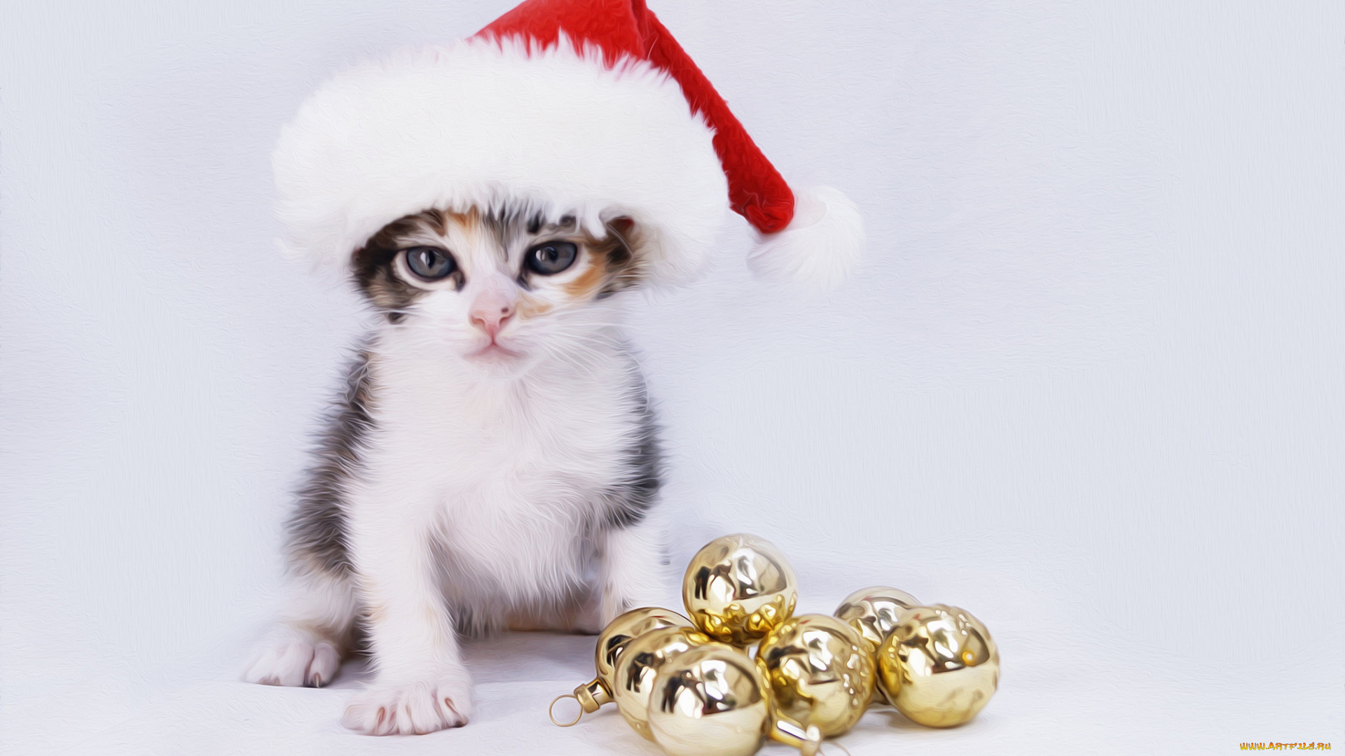 разное, компьютерный, дизайн, котёнок, колпак, игрушки, шарики