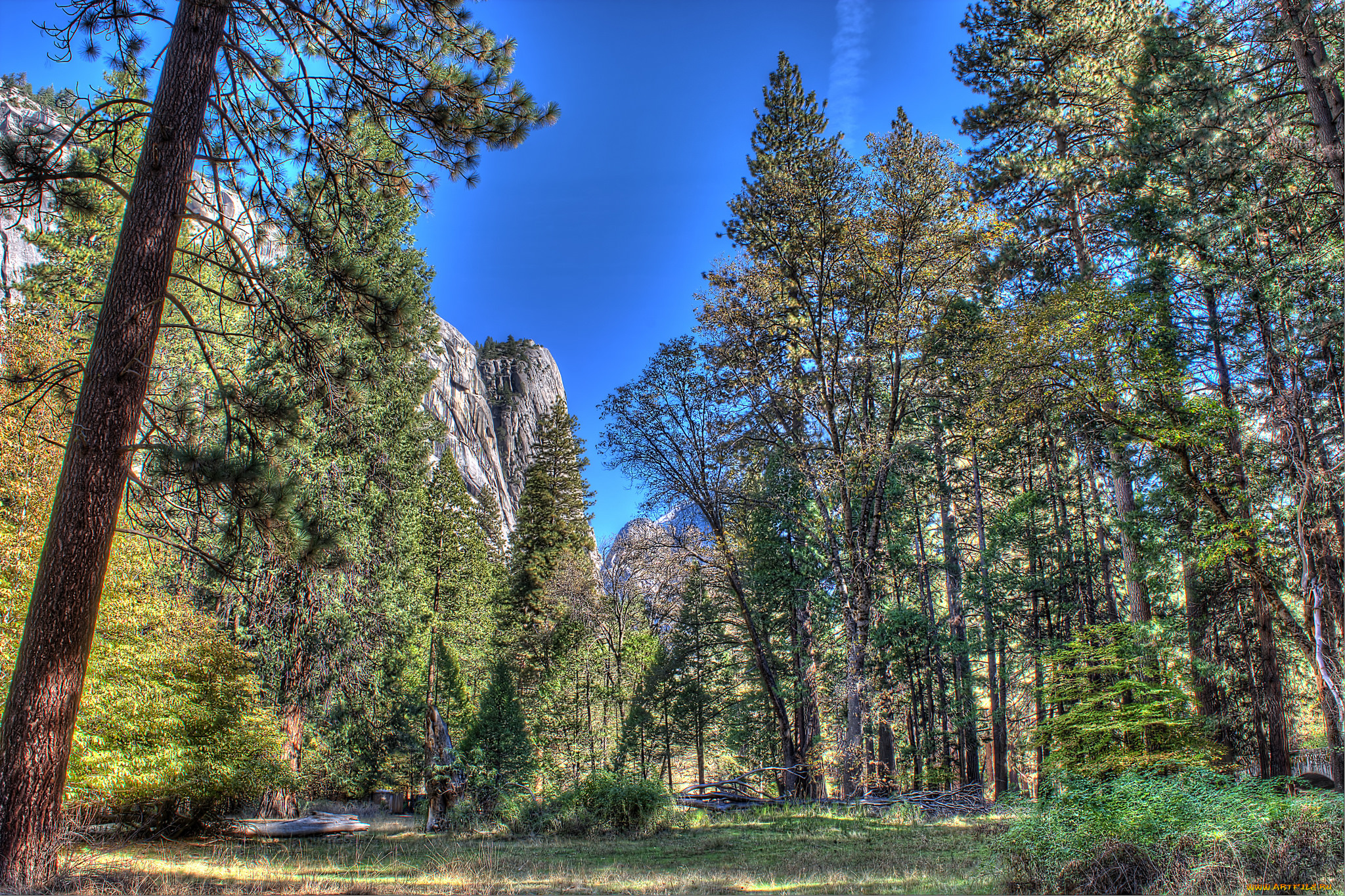 природа, лес, скалы, деревья