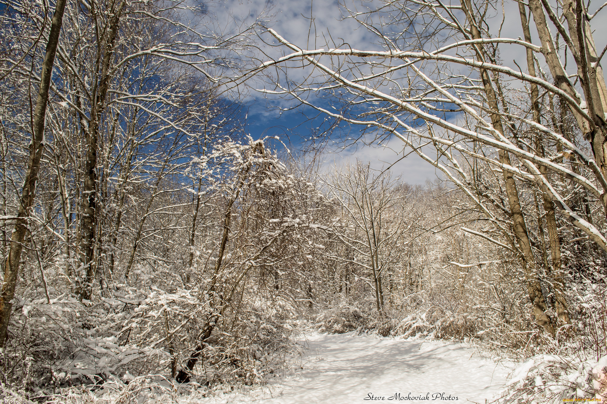 природа, зима, лес, снег