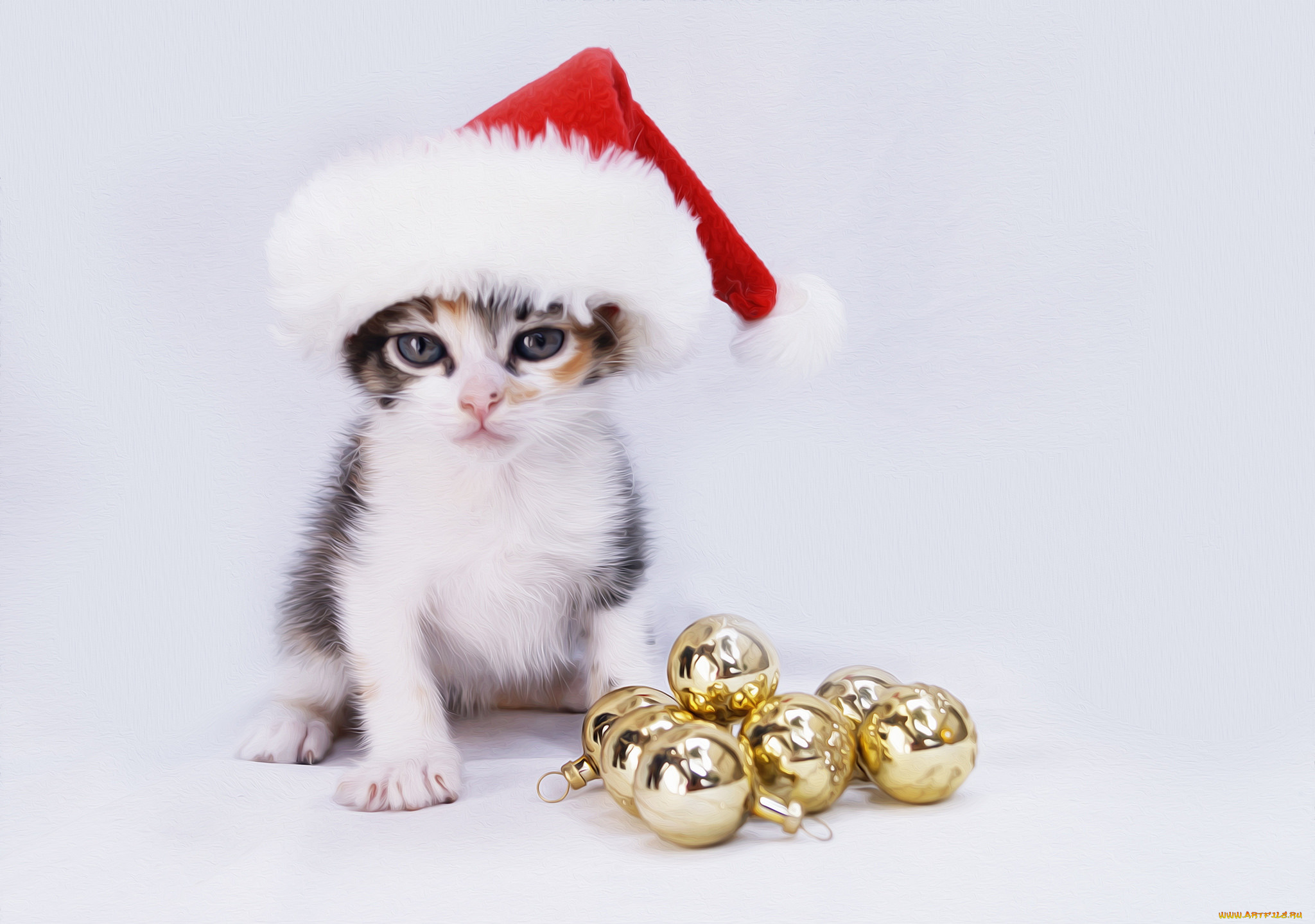 разное, компьютерный, дизайн, котёнок, колпак, игрушки, шарики