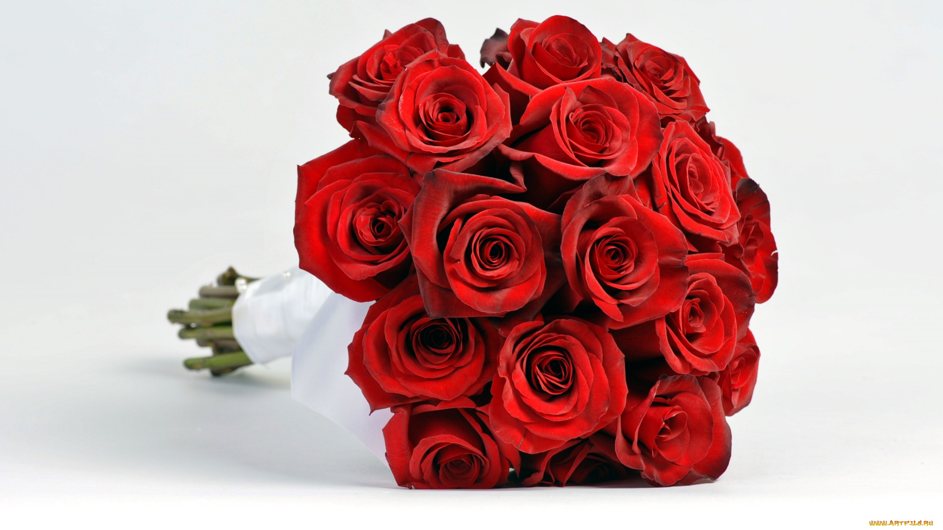 цветы, розы, букет
