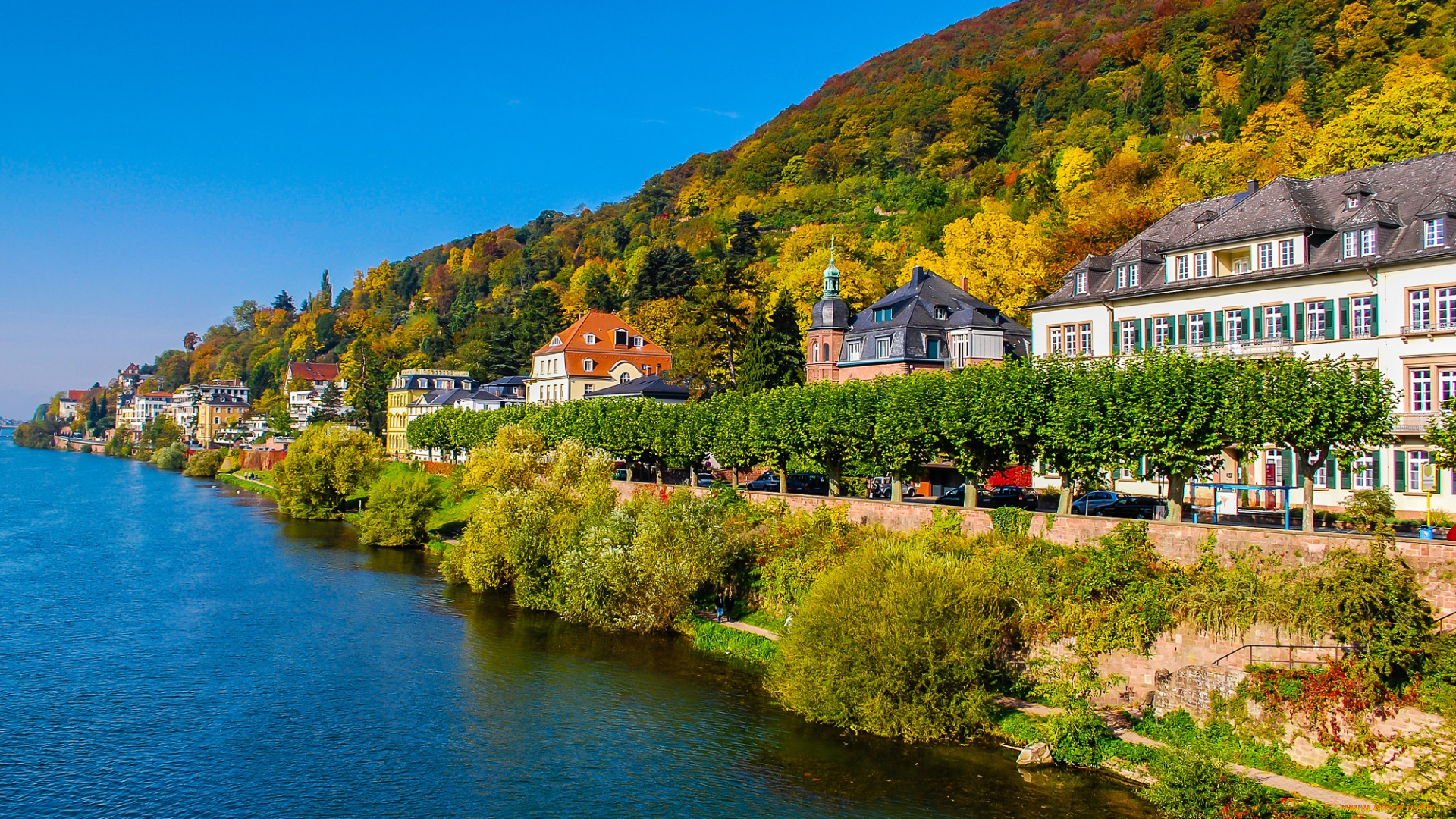 города, сиэтл, , сша, солнечно, кусты, сиэтл, деревья, дома, осень, небо, голубое, море, seattle, побережье