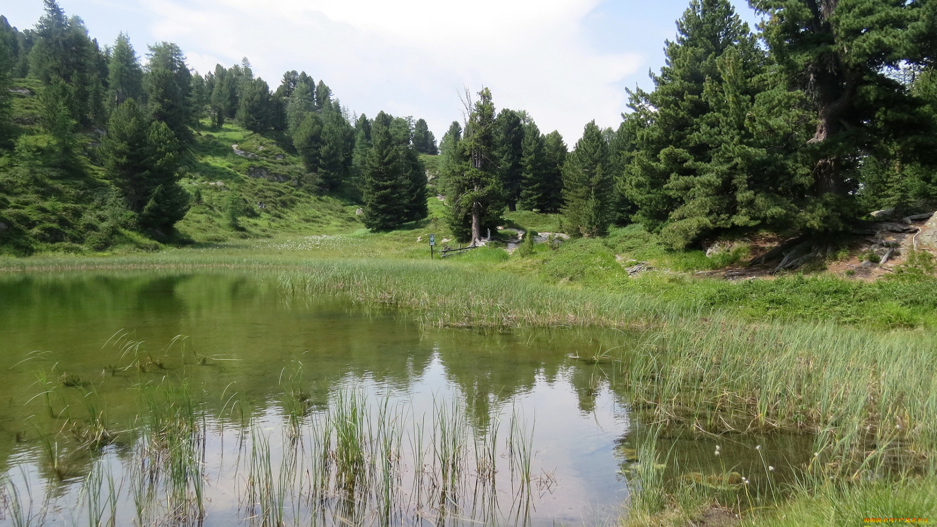 природа, реки, озера, лес, озеро