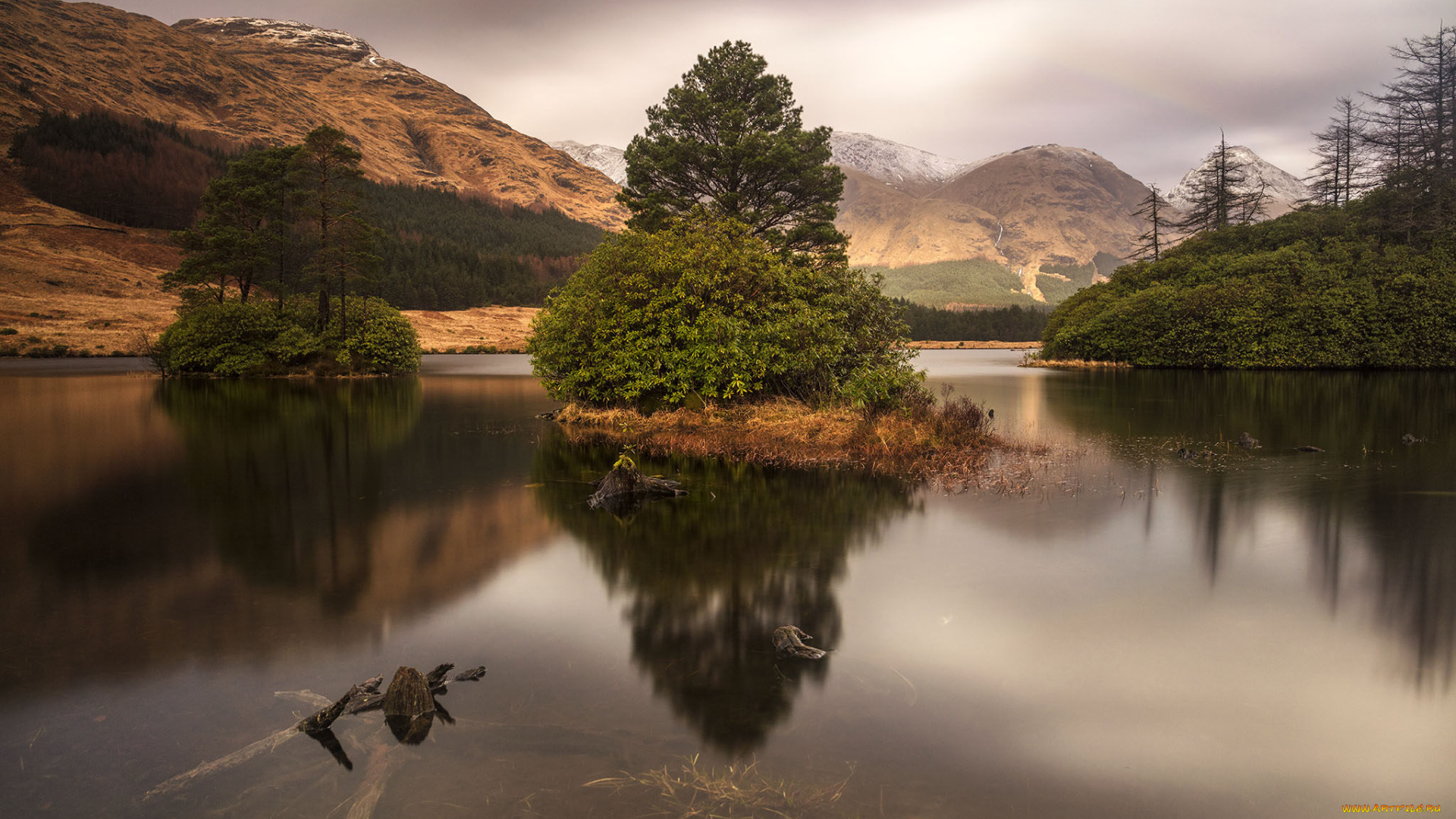 природа, реки, озера, лес, река