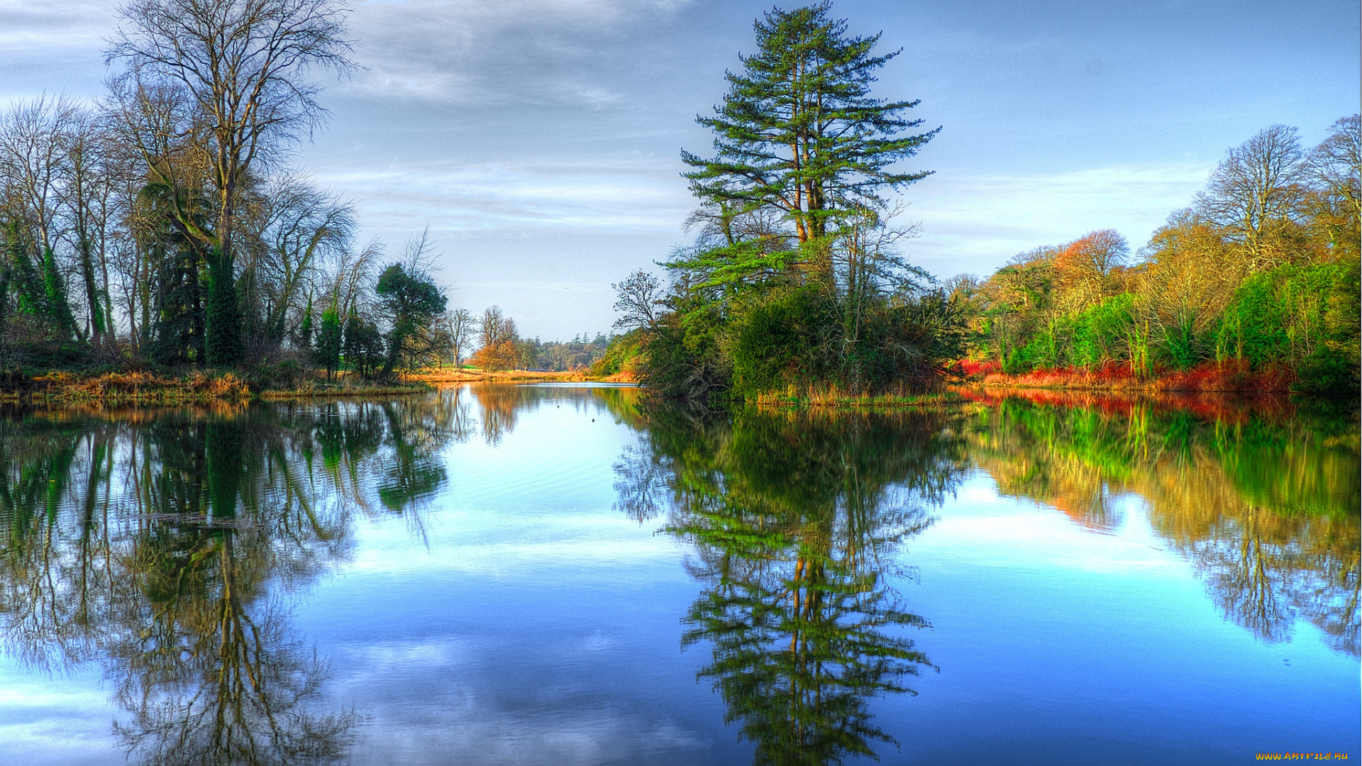 природа, реки, озера, лес, река