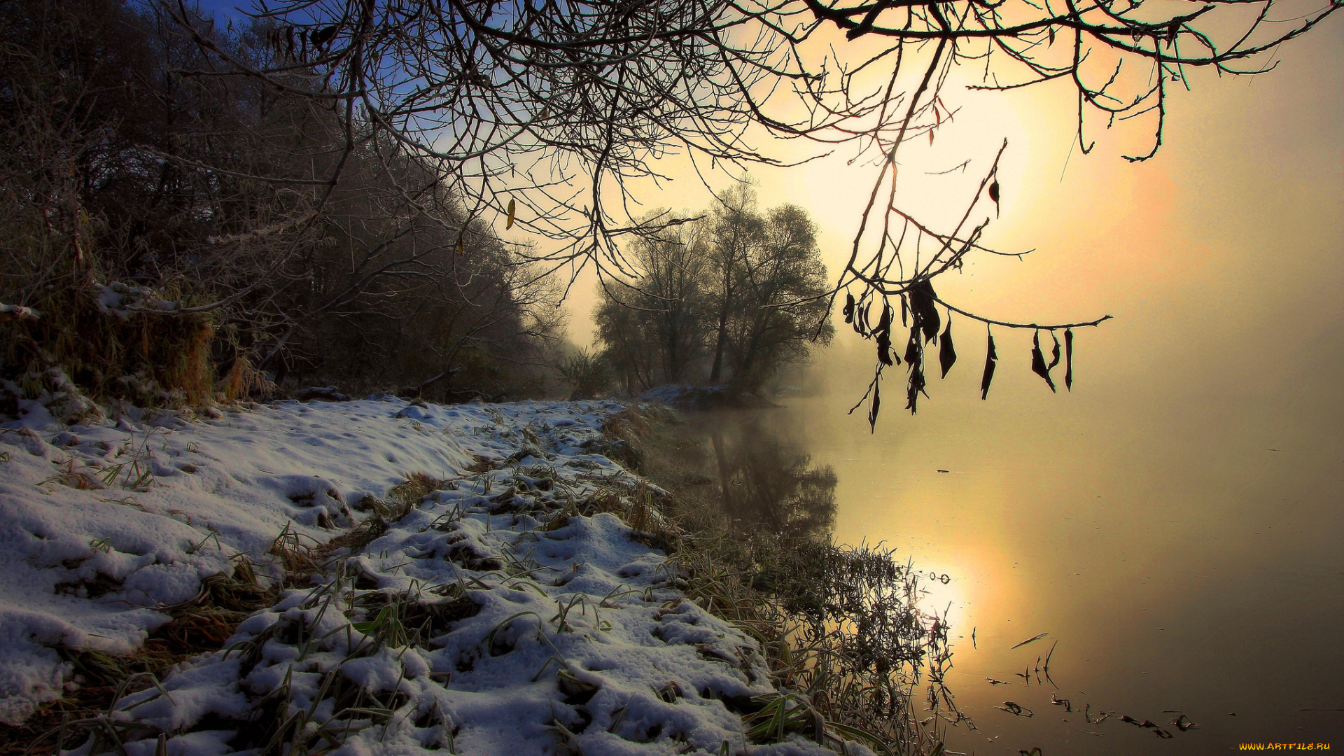 природа, реки, озера, лес, река