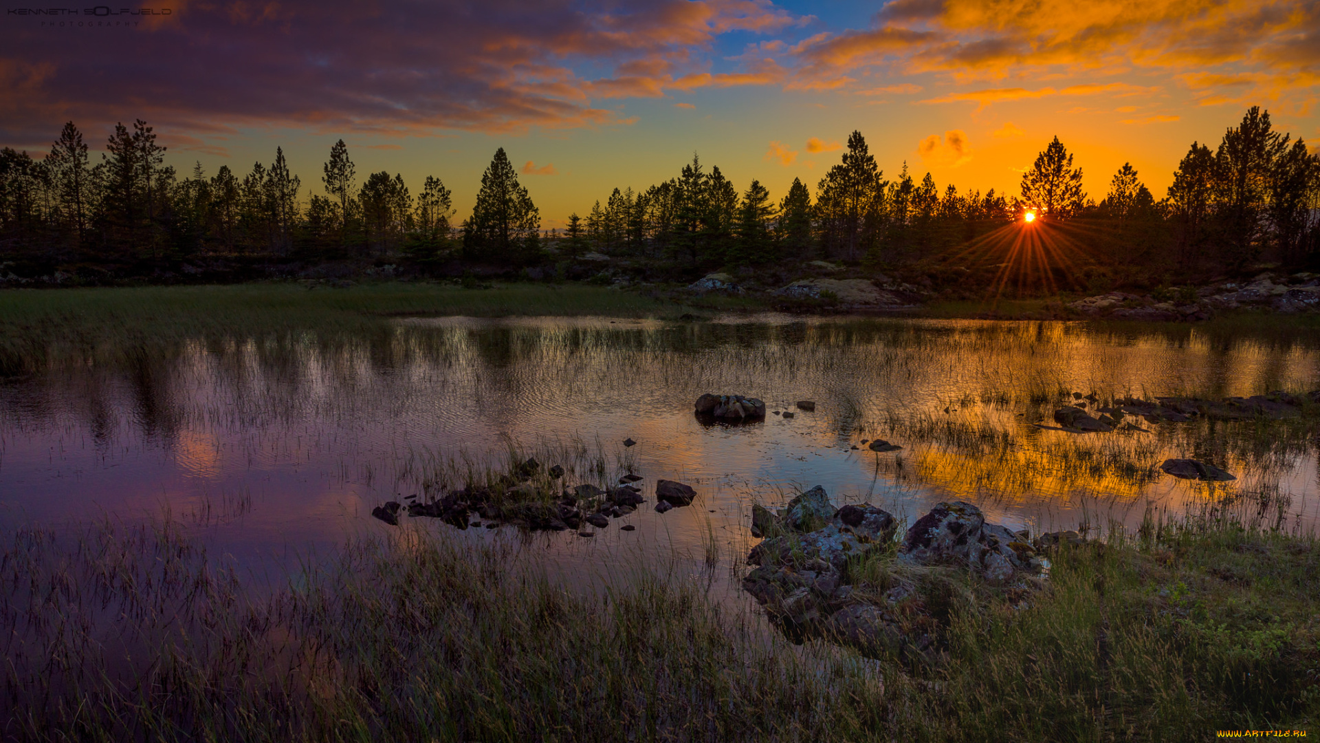 природа, реки, озера, лес, река