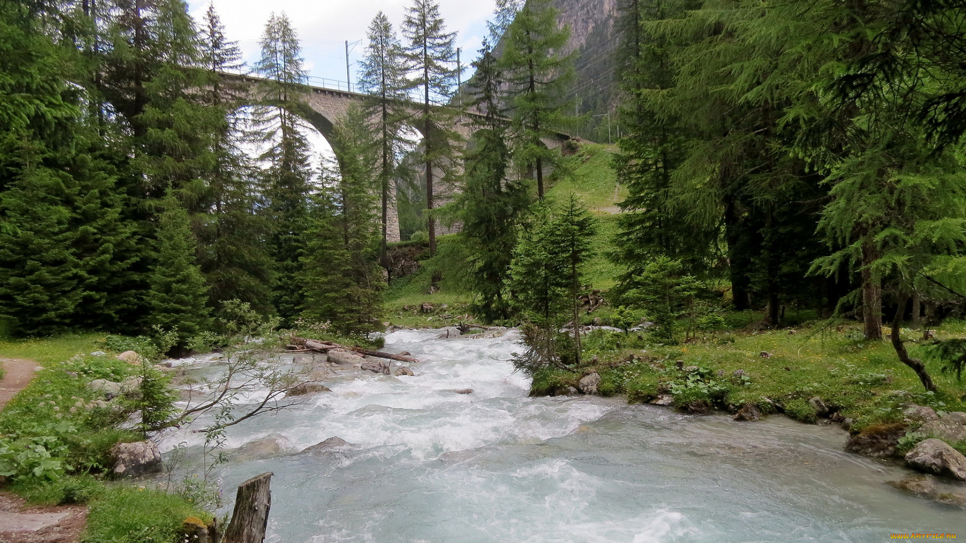 природа, реки, озера, мост, река, лес