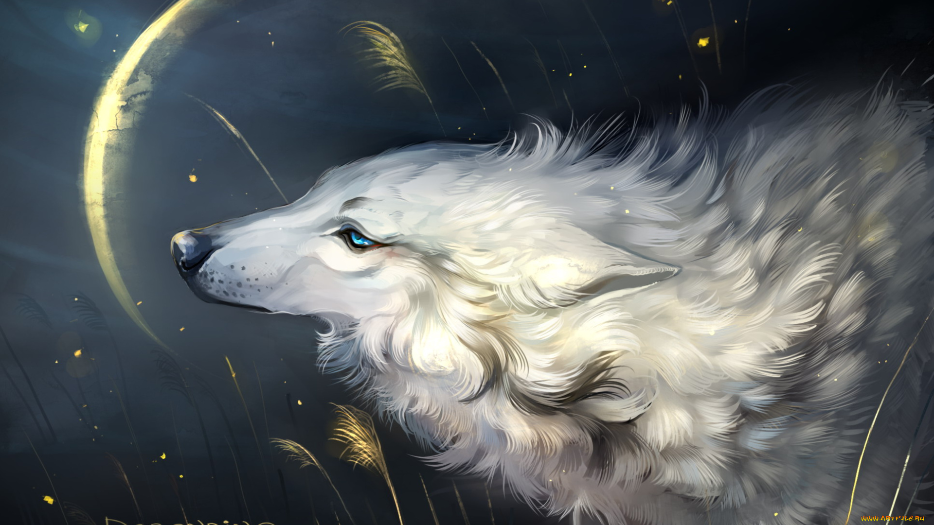 рисованное, животные, , волки, волк, белый, трава, луна