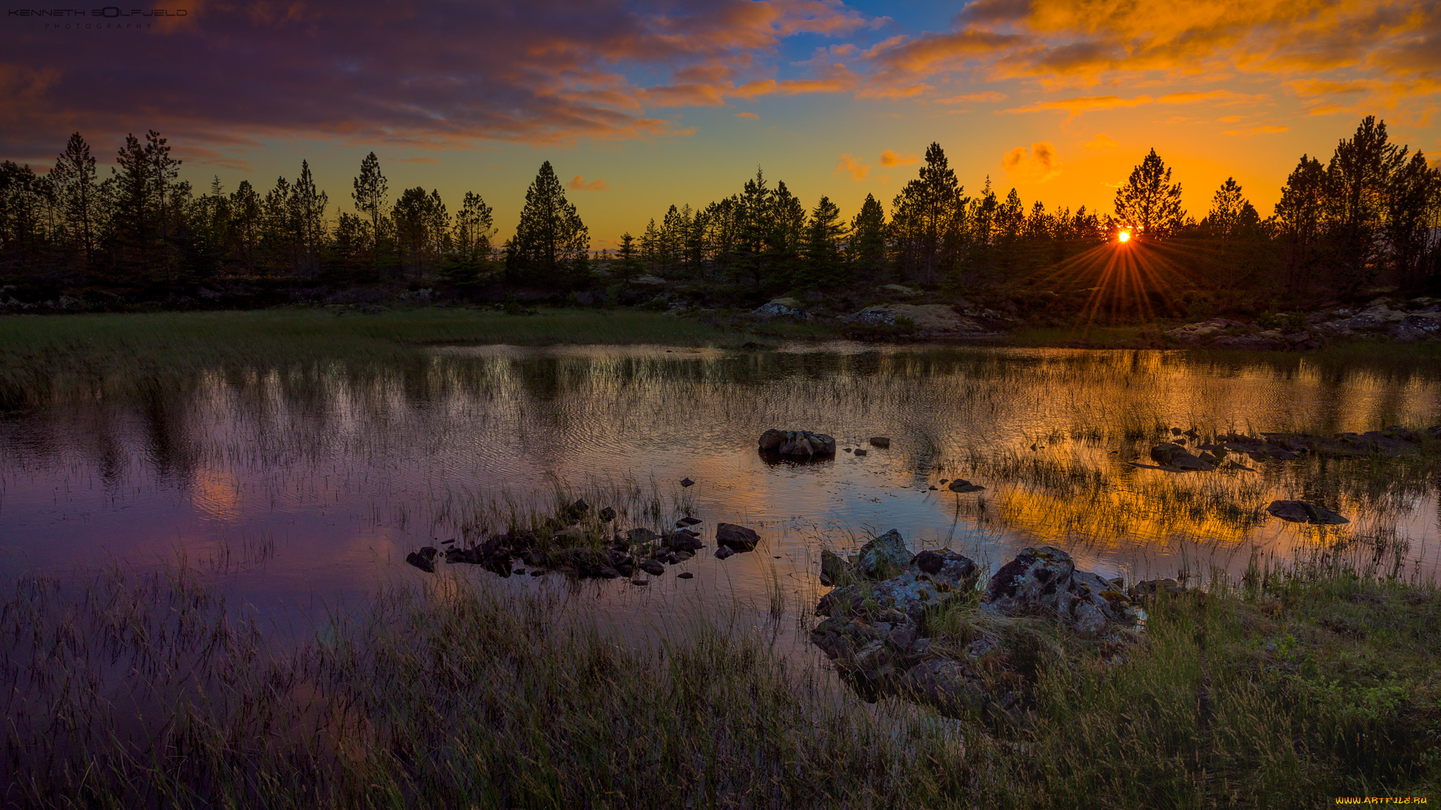 природа, реки, озера, лес, река