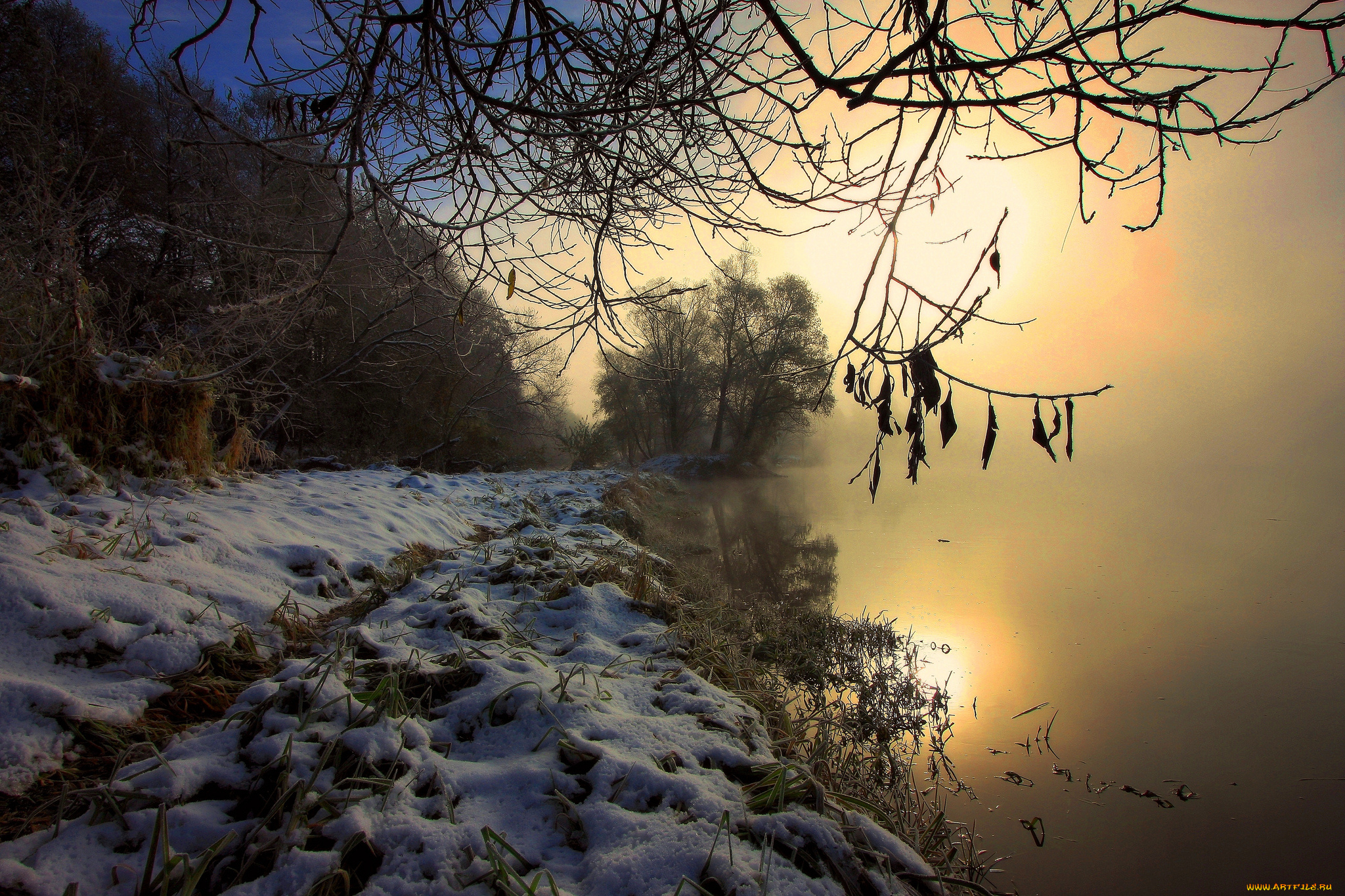 природа, реки, озера, лес, река