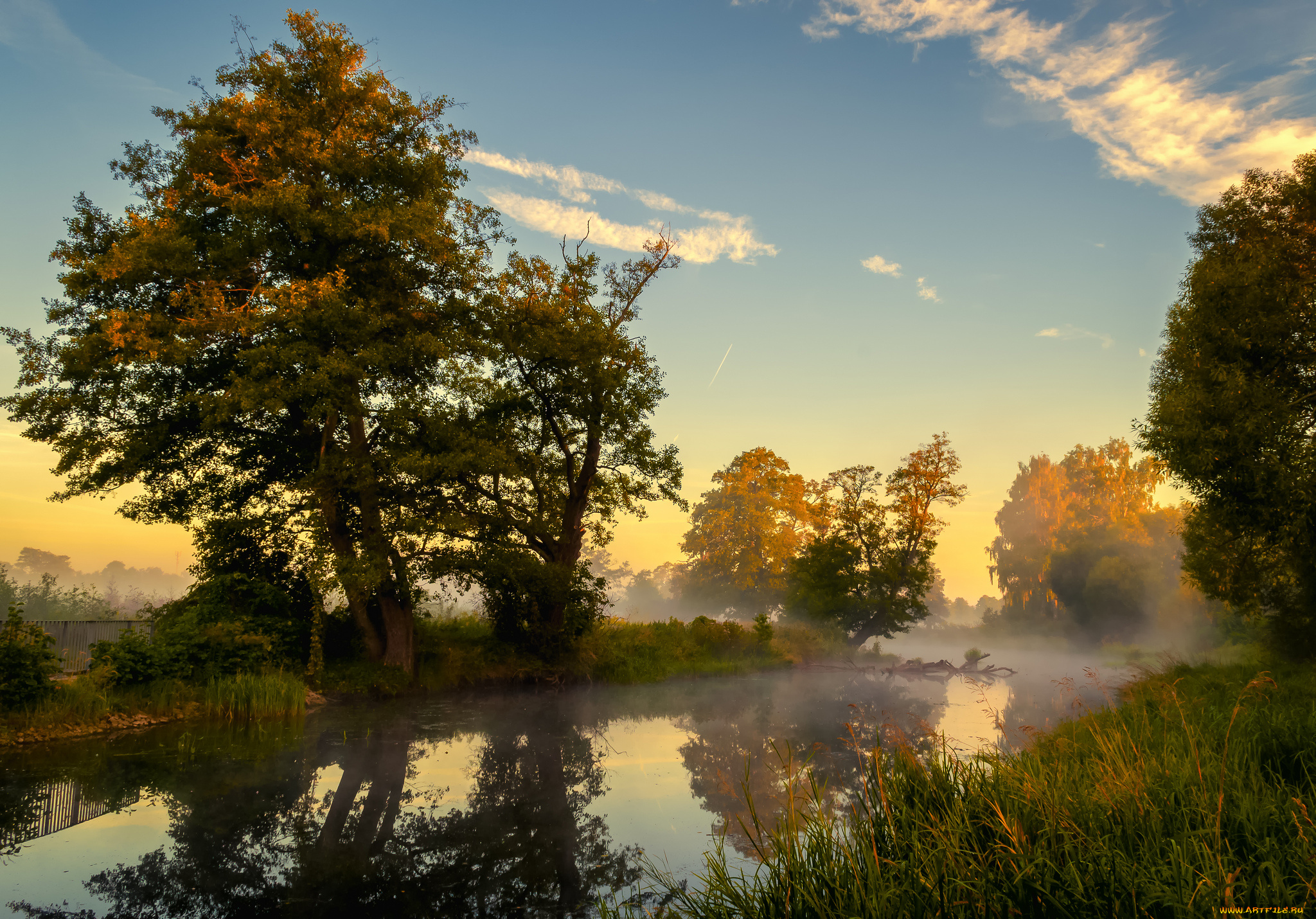 природа, реки, озера, лес, река